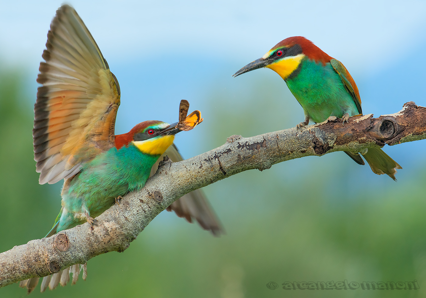 Io do una cosa a te ma tu dai una cosa a me