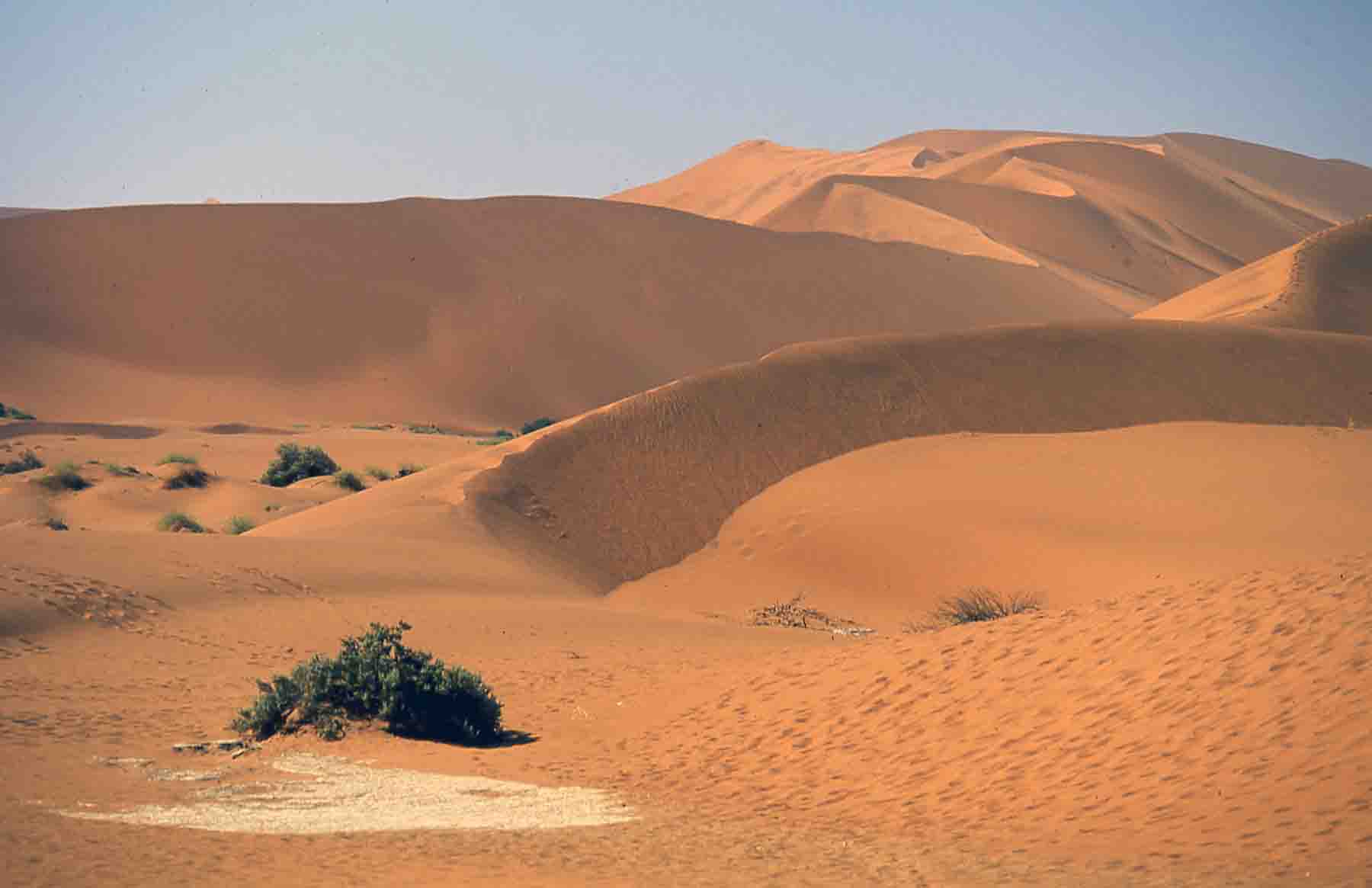 Dunes in the Namib Desert