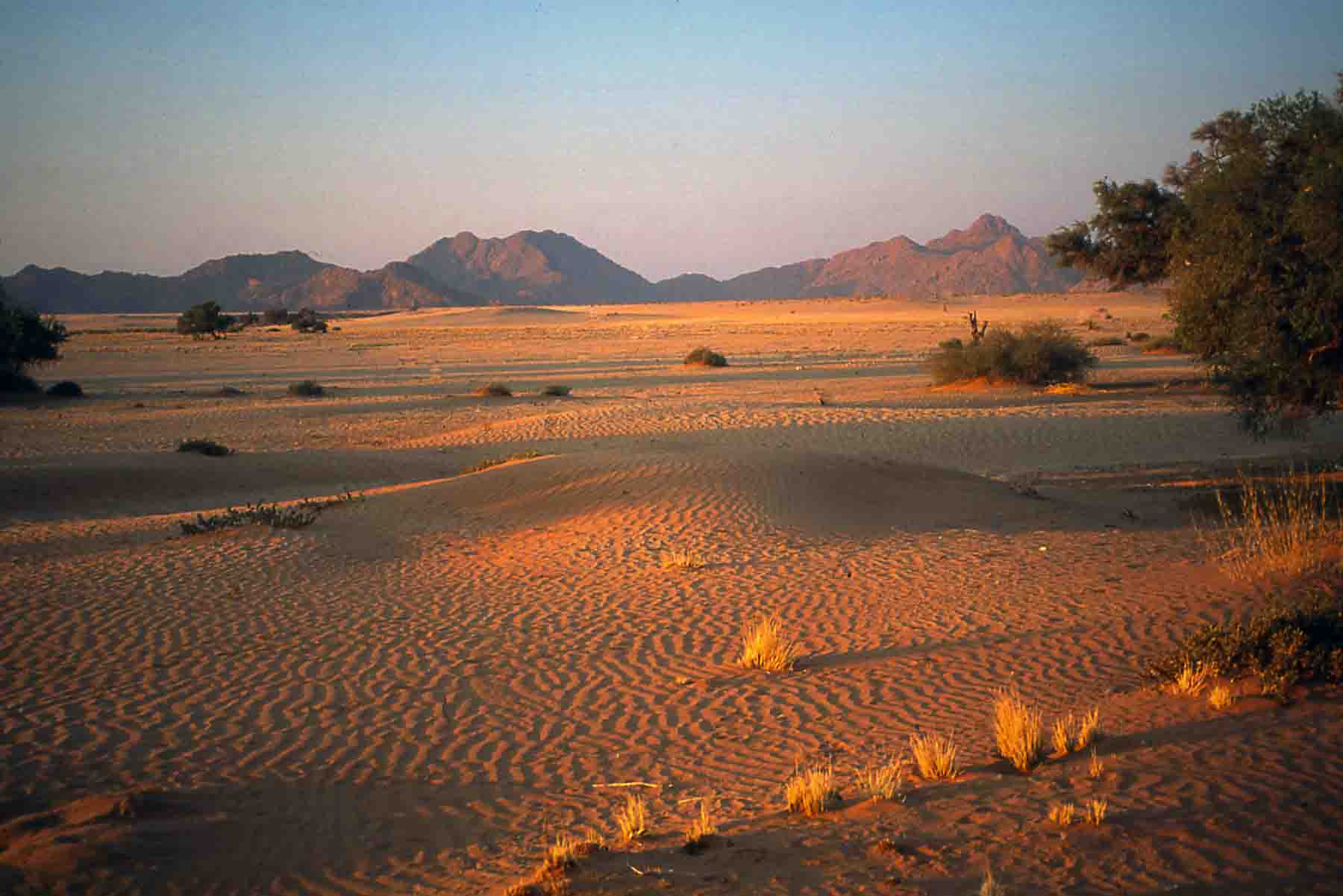 Namib Desert