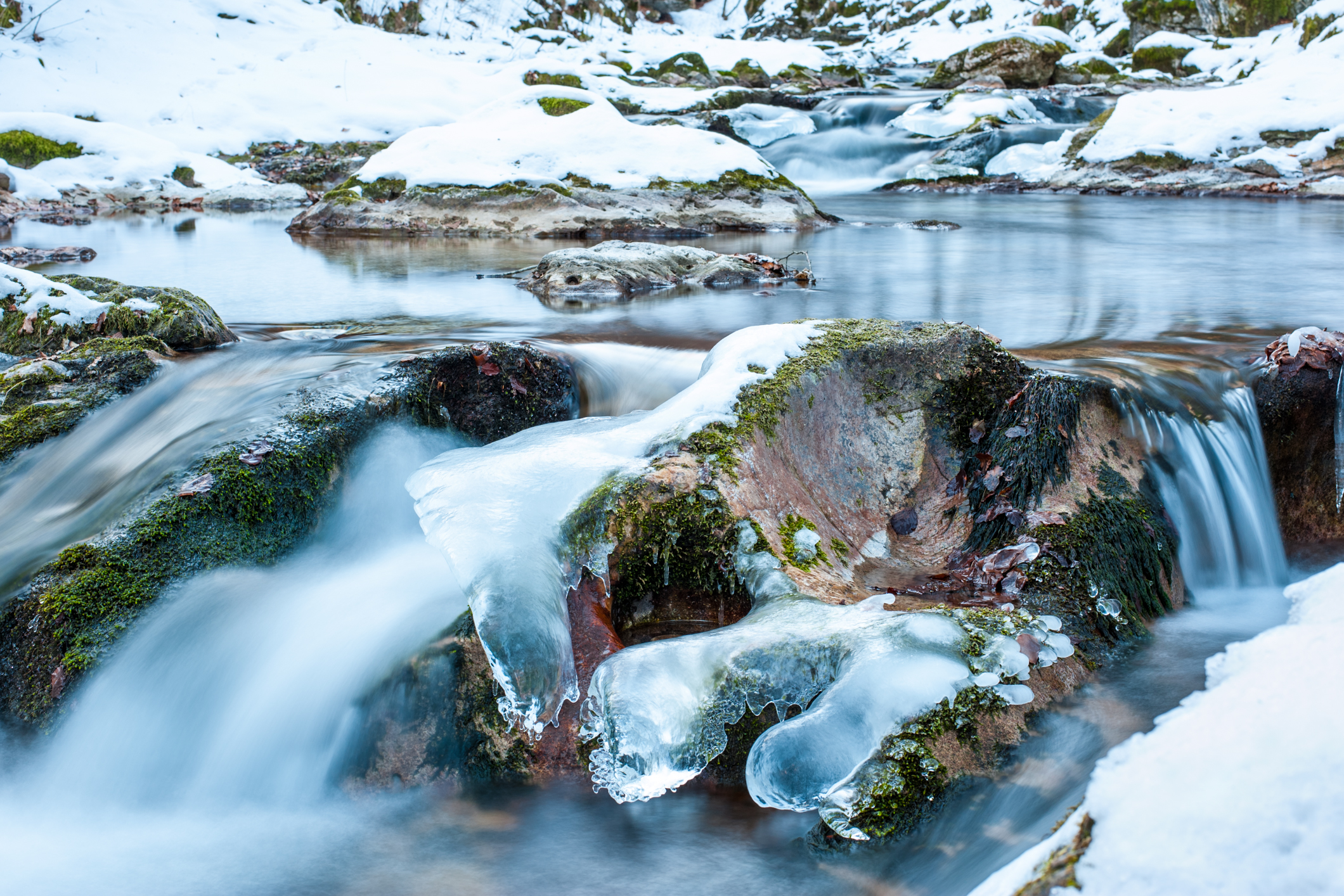 Colori di fine inverno