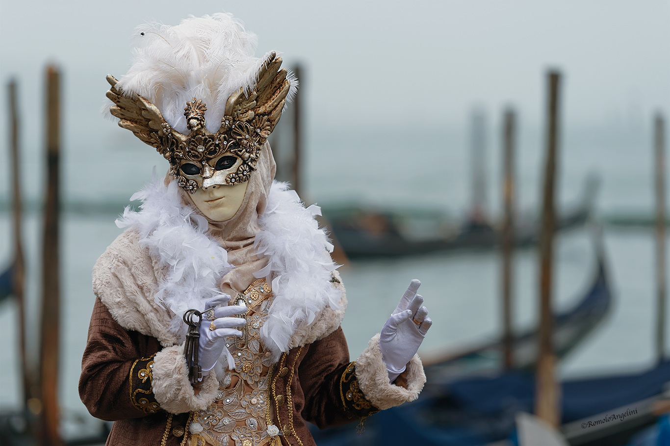 Venezia , Carnevale 2017 .