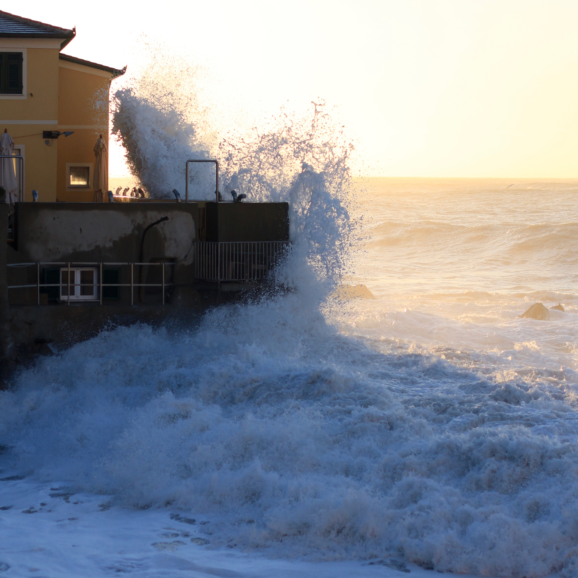 Amore, hai chiuso la finestra, vero?
