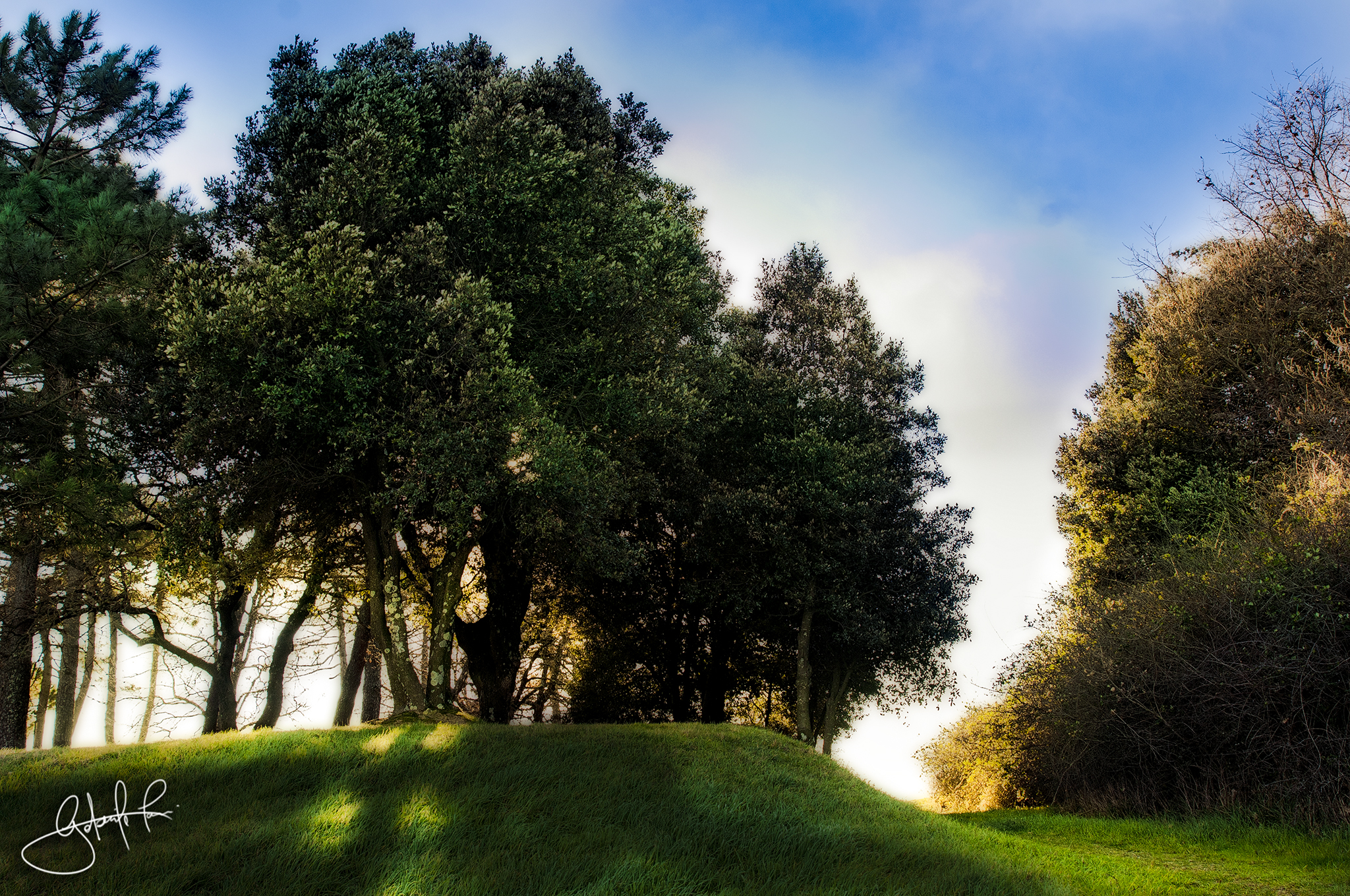 Monte Albano Carmignano