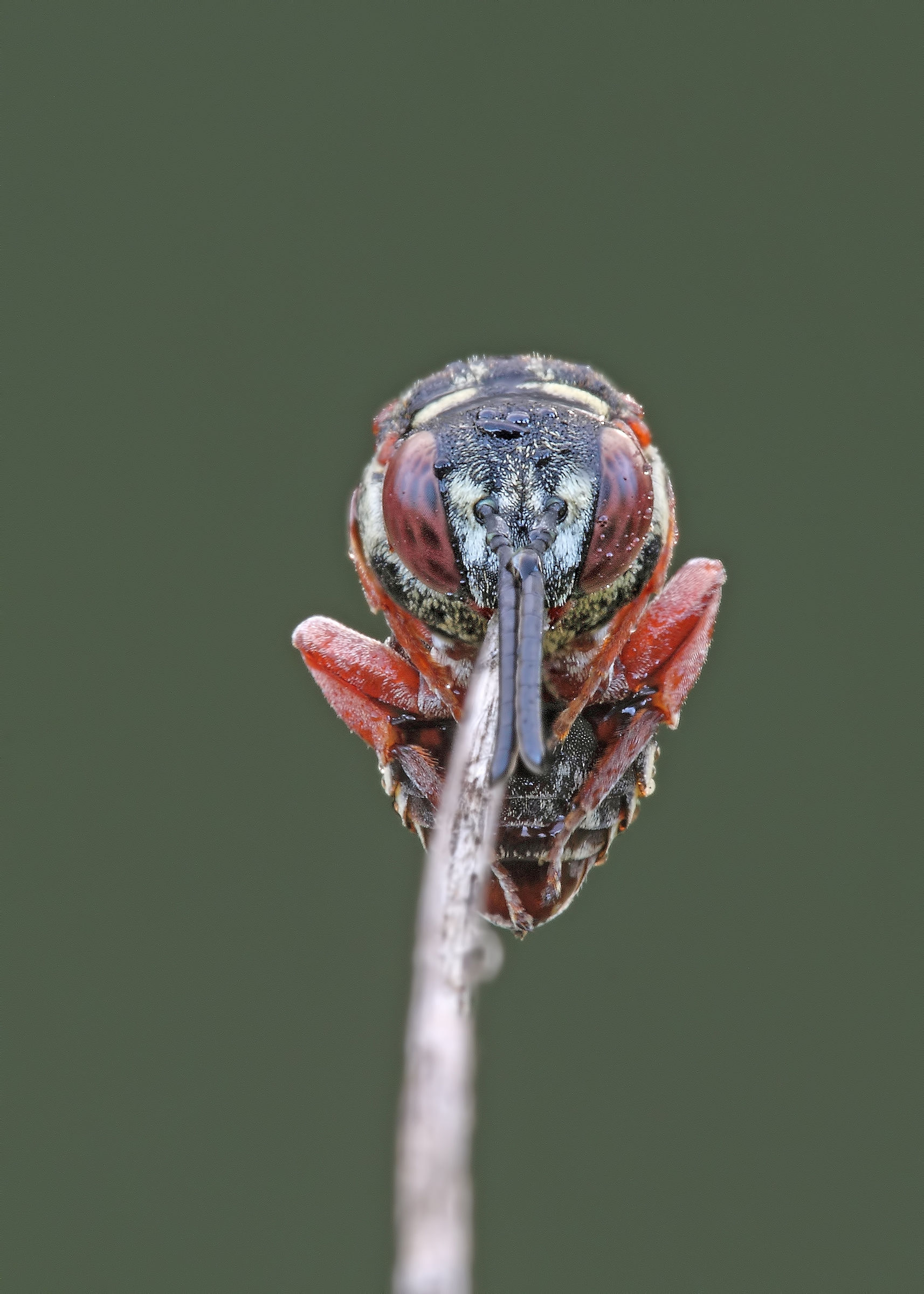 ......do not give up !!!