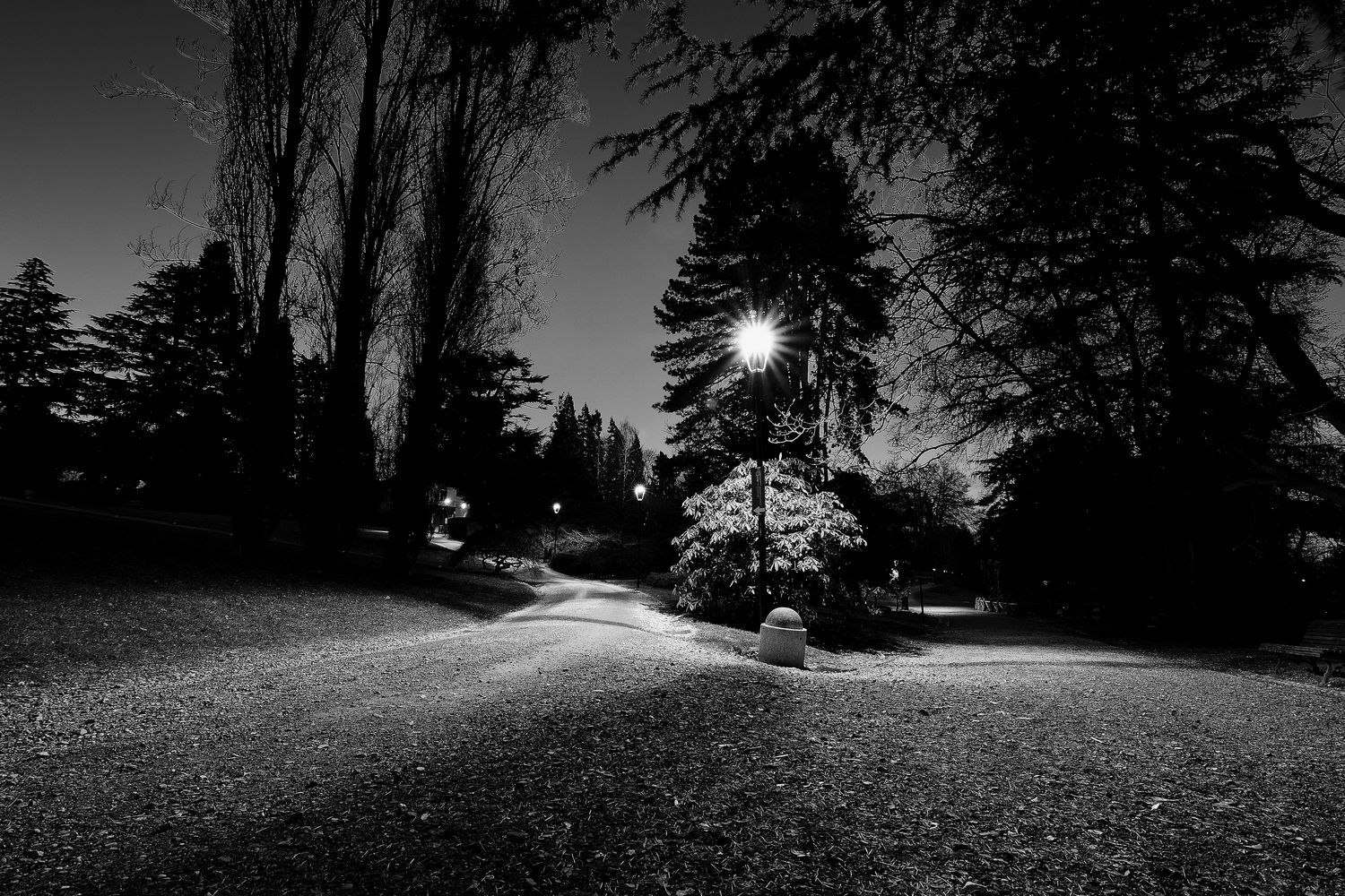 Villa Toeplitz - notturno nel parco