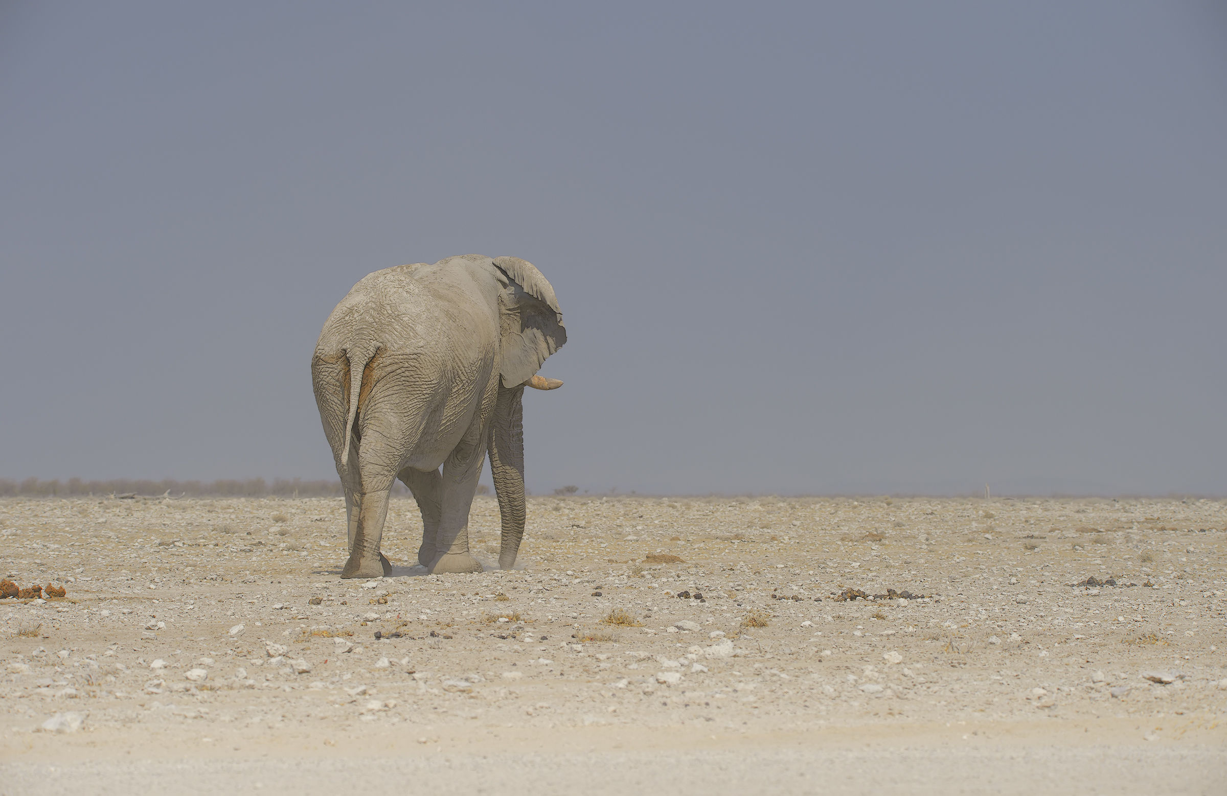 On the horizon a long journey