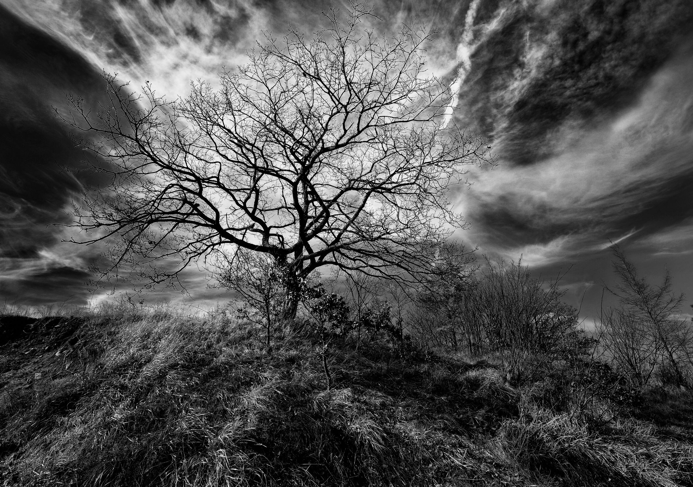 The hill of Darkness