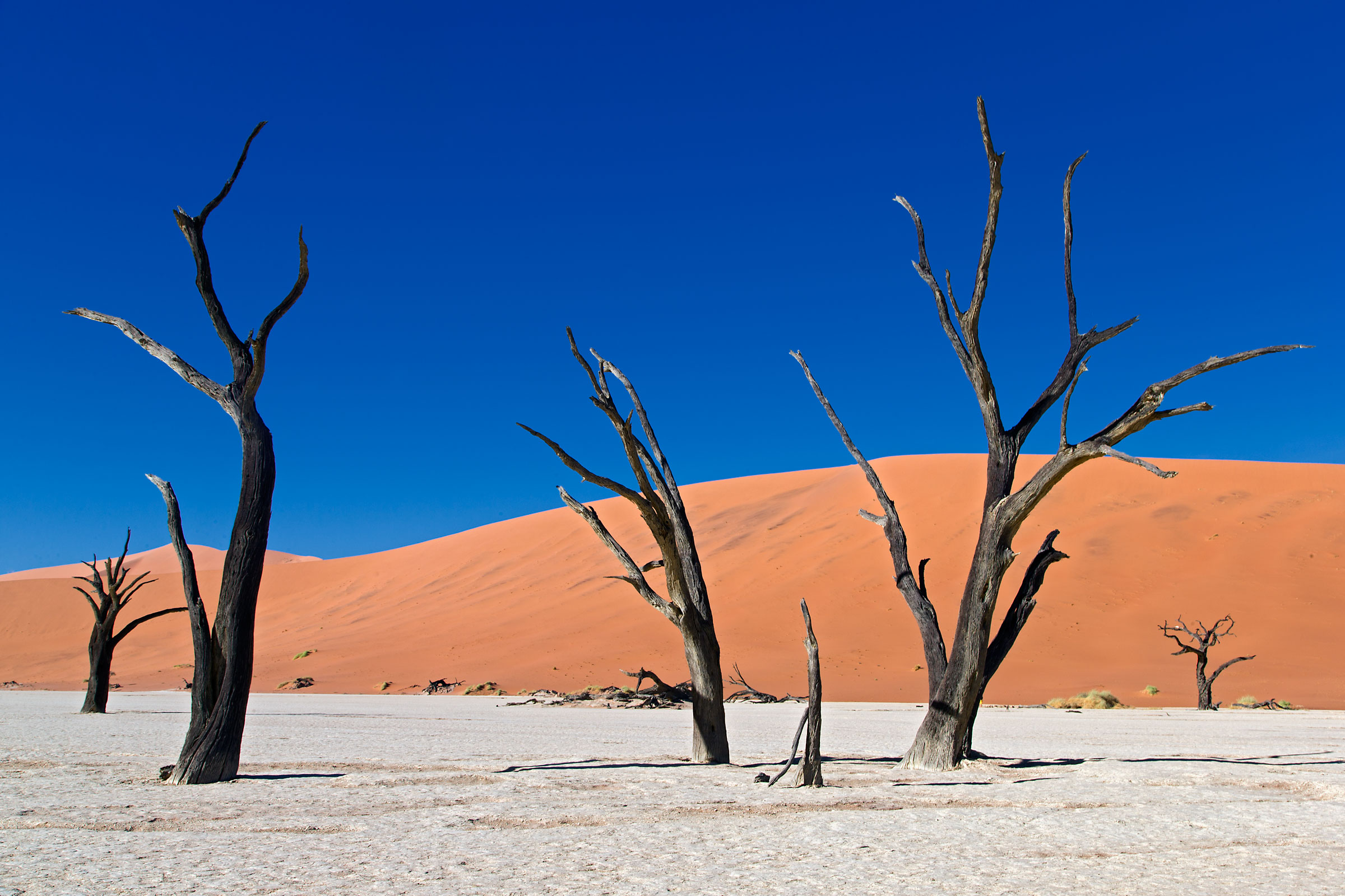 Dead Vlei