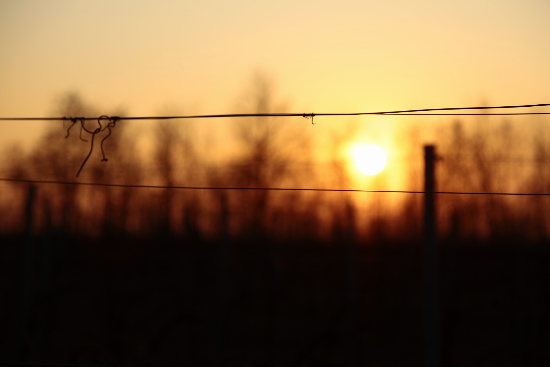 Waiting for the sunset