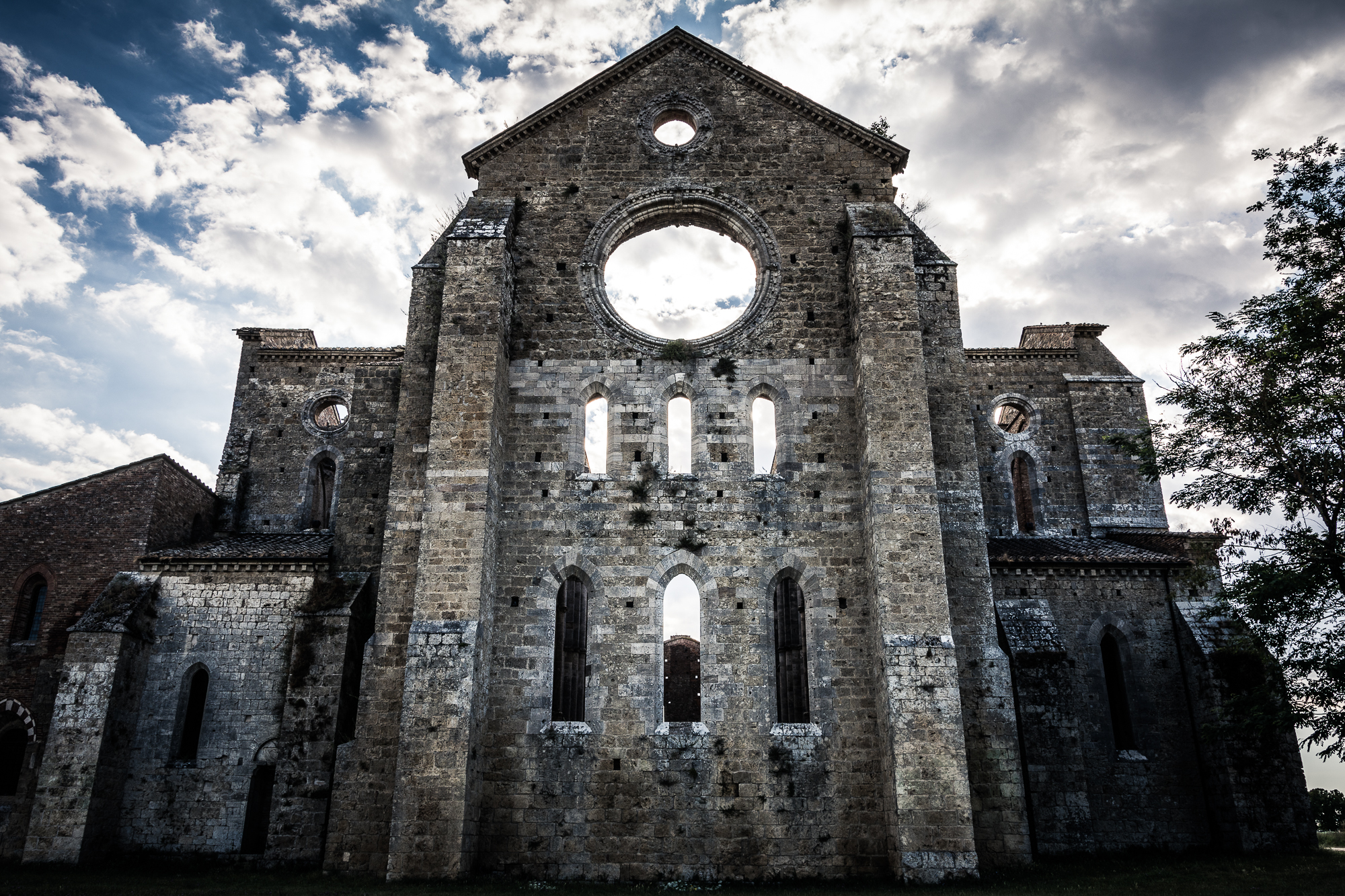 Dal retro di San Galgano