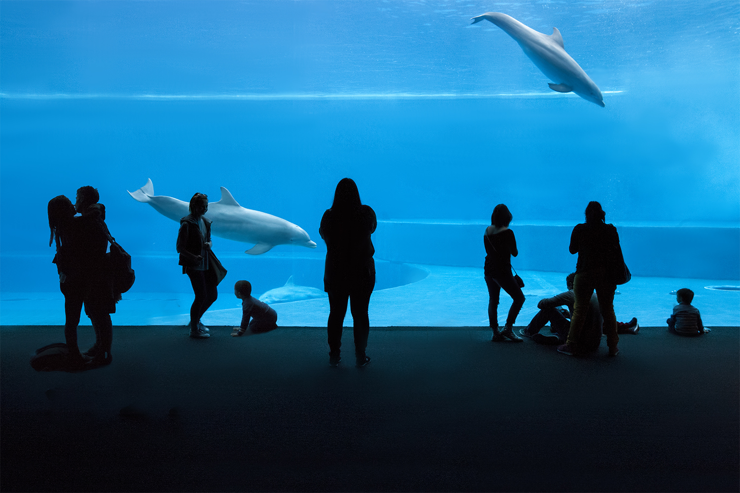 Incatati for all ages