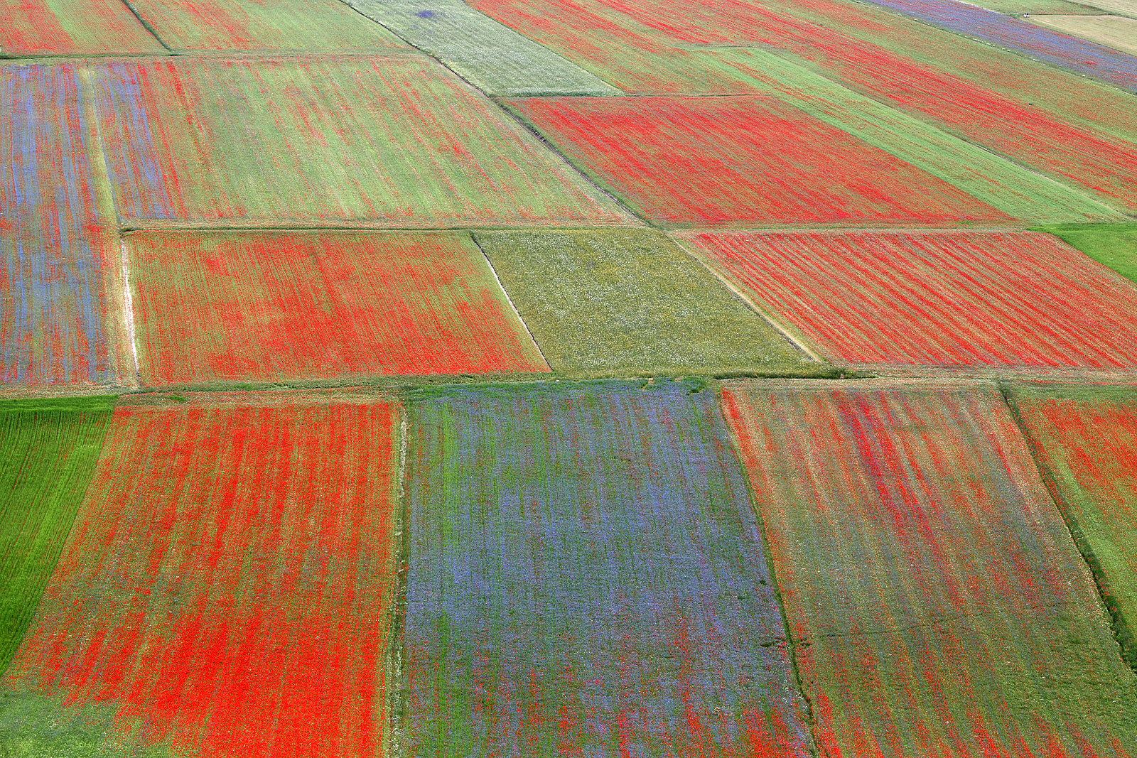 Castelluccio 2016