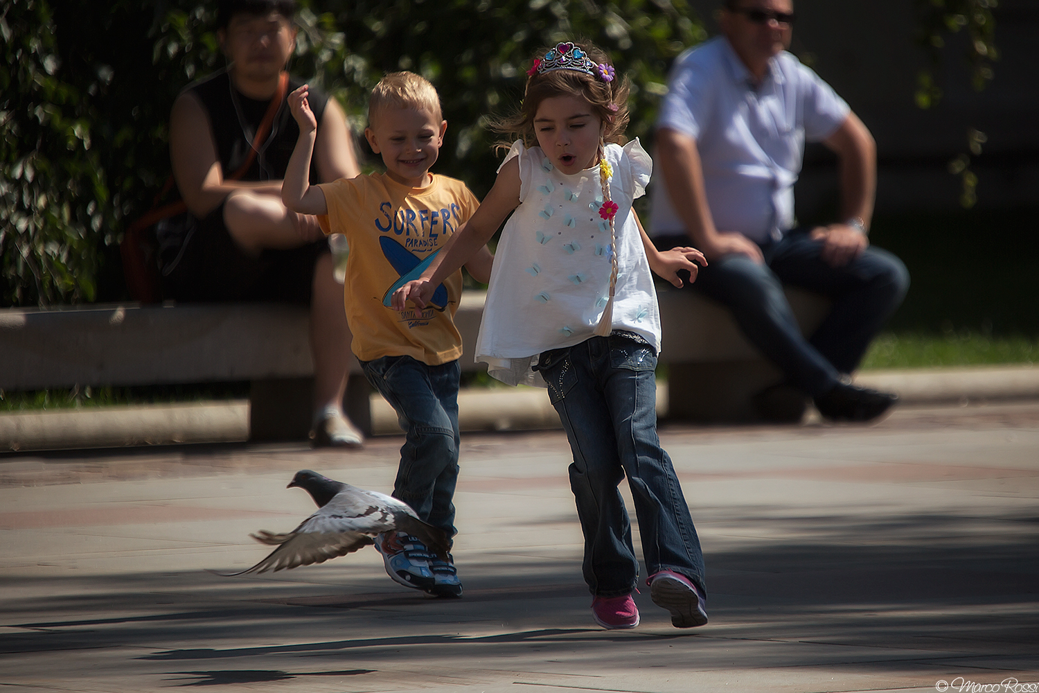 Caccia al piccione :)