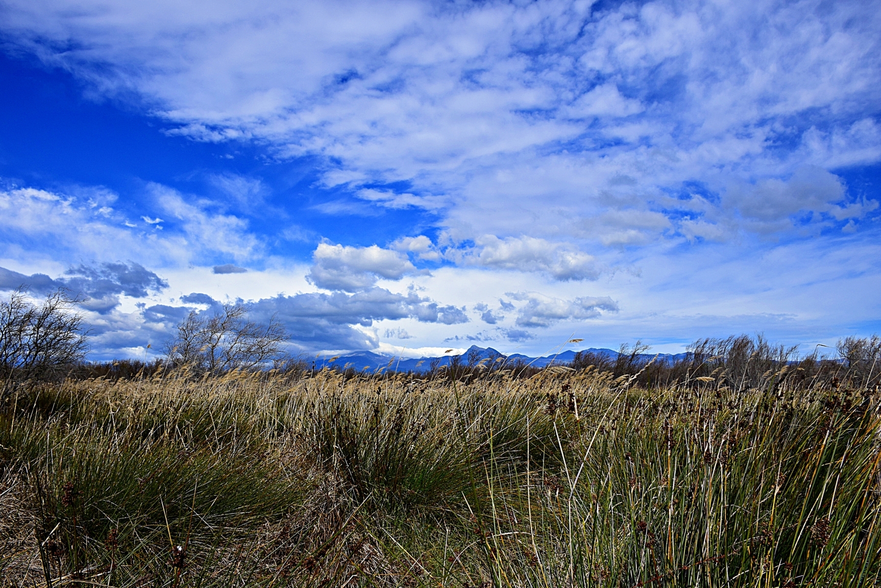 The chain Pollino oversees the Plain of Sybaris