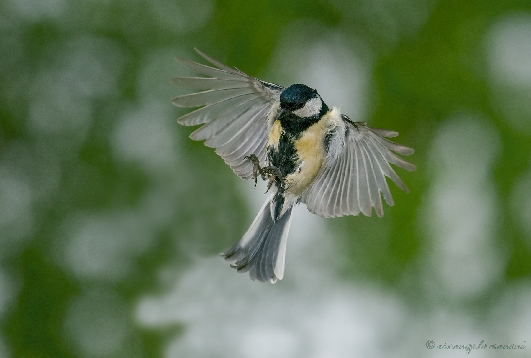 Volo di ricognizione