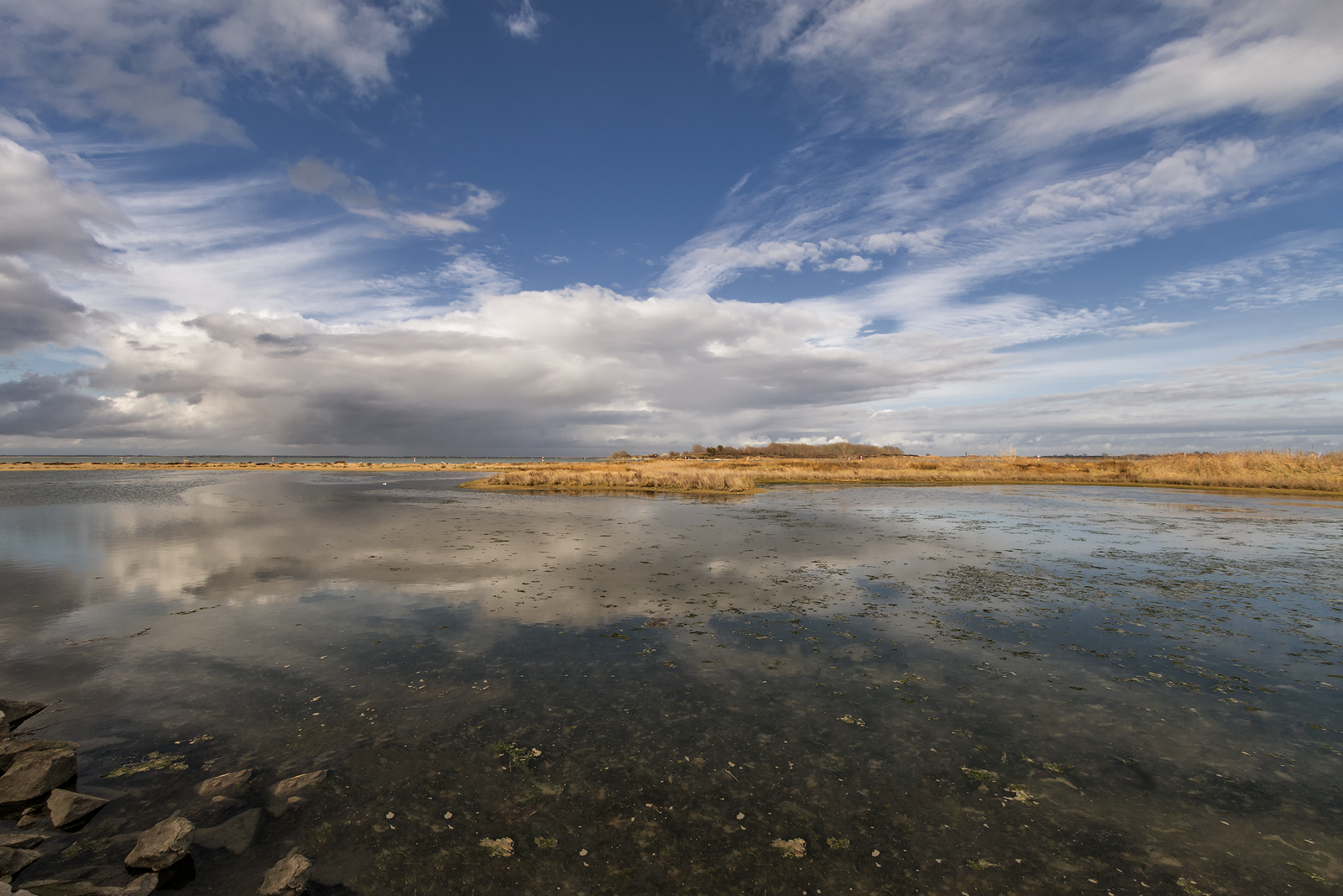 tra cielo e mare ( laguna di Lignano )
