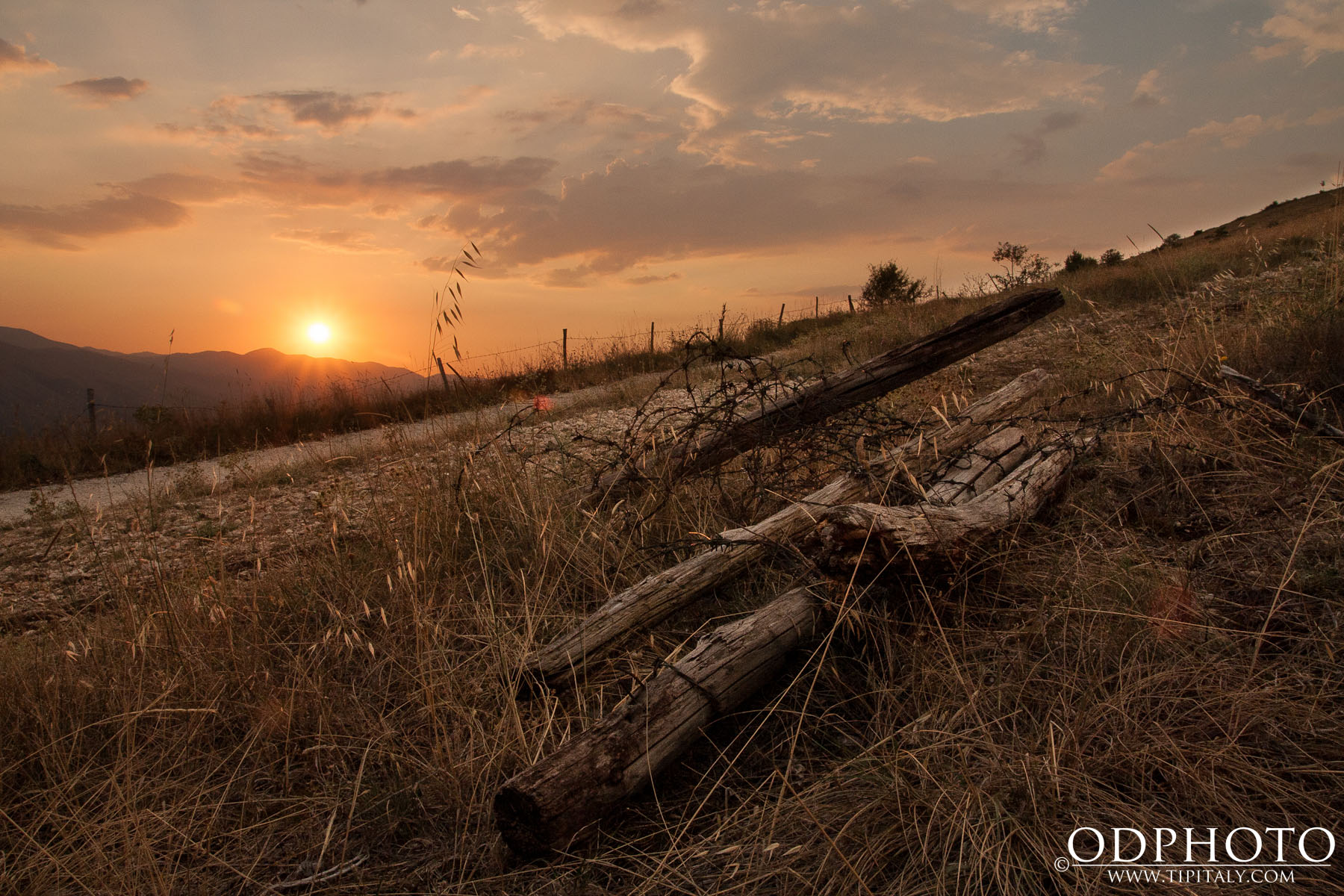Riserva del Salviano