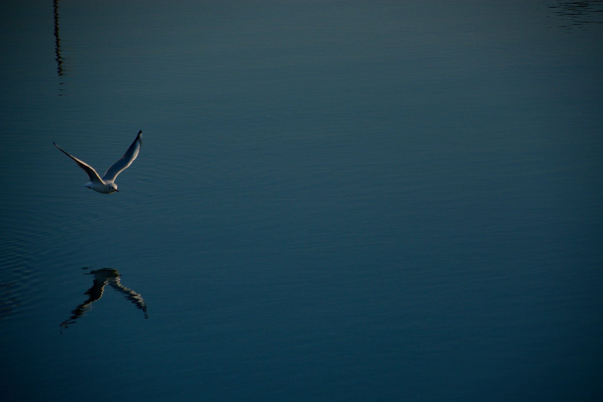 ...i believe i can fly... (r.kelly)