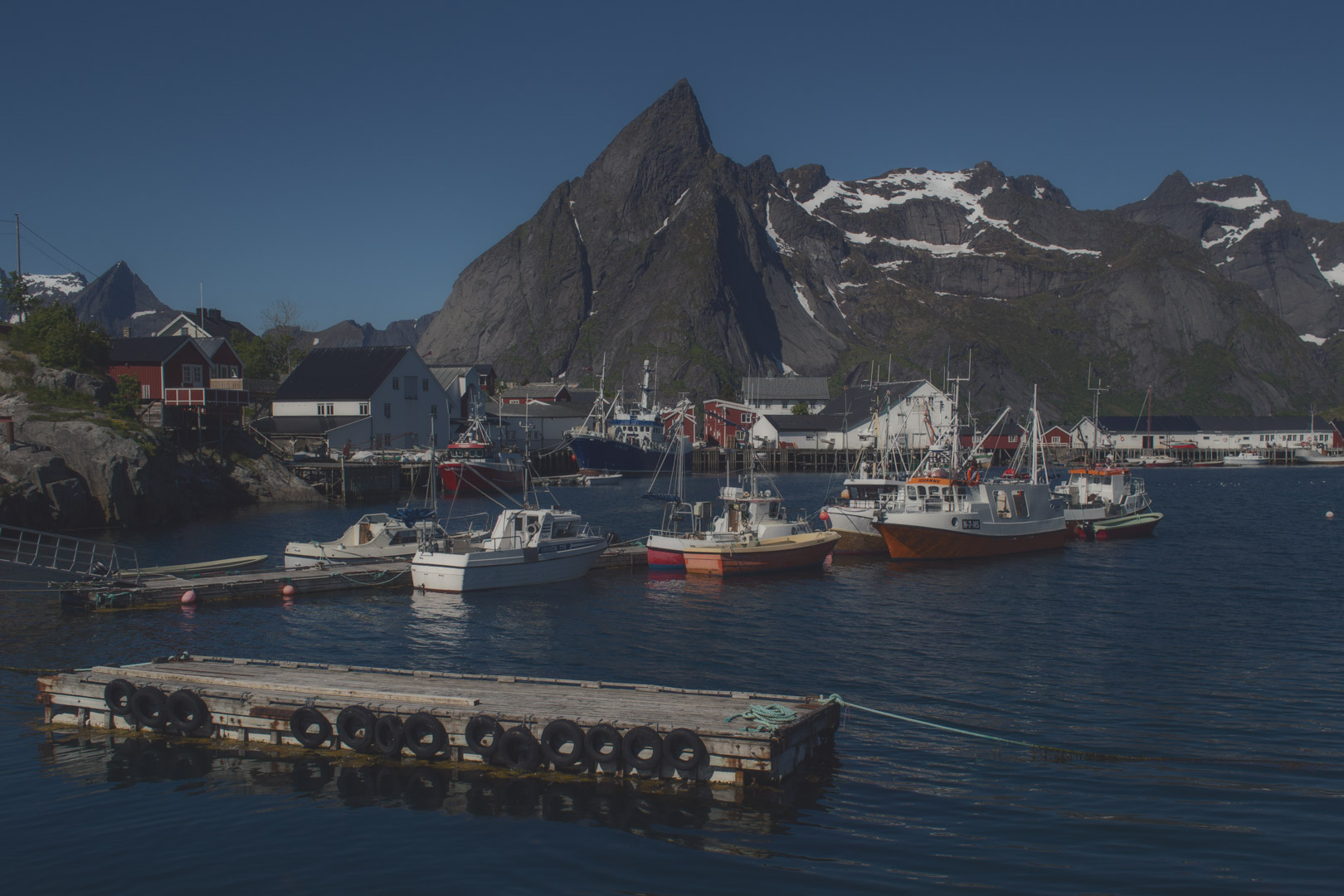 Reine