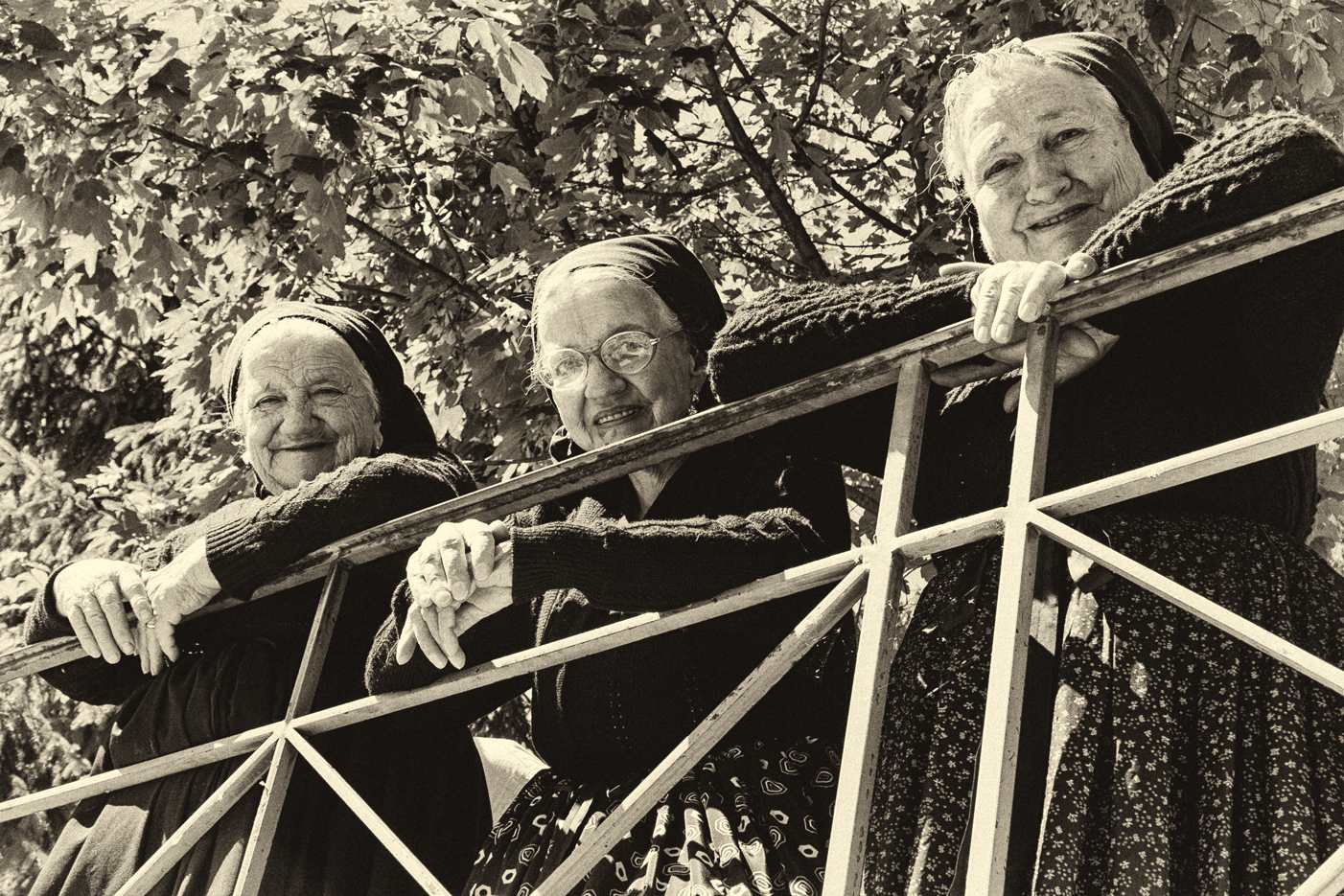 beauties of the past .....