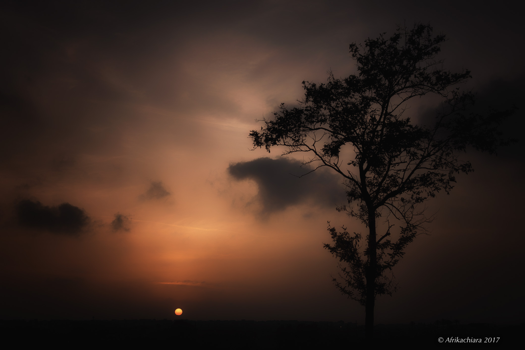 I who love the singing of the sun ...