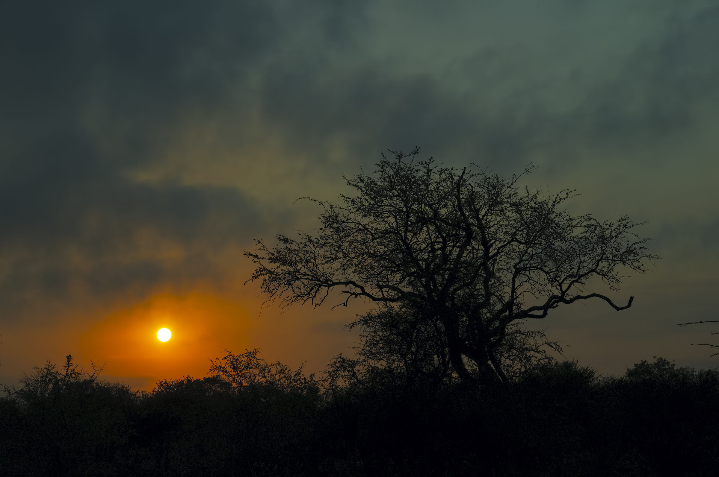 Sunrise at Kruger