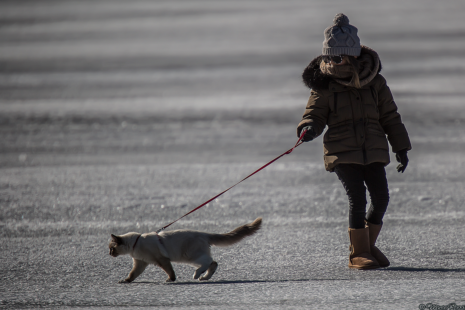 I go home we're freezing :)