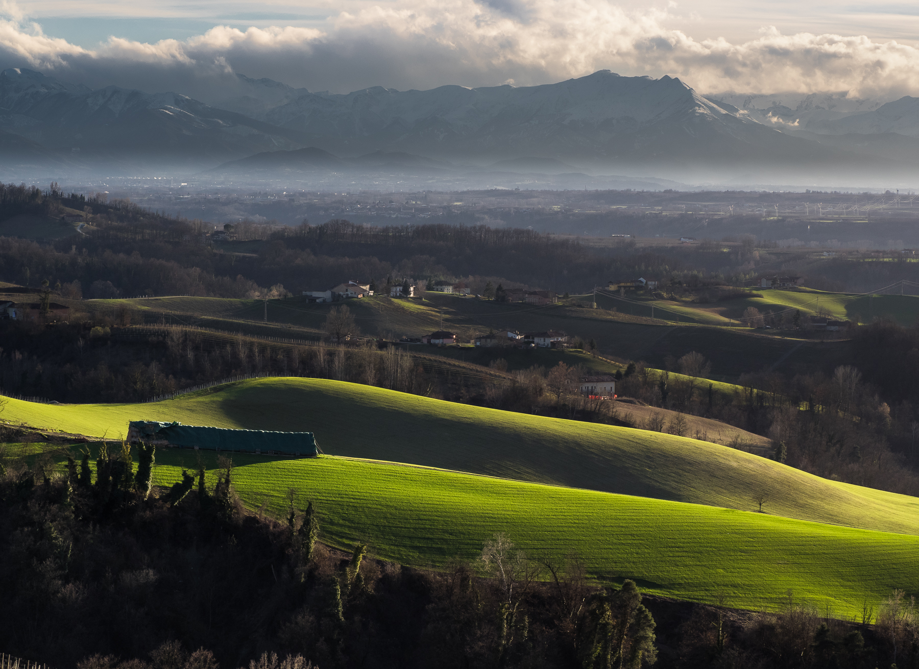 check the grain in Langa