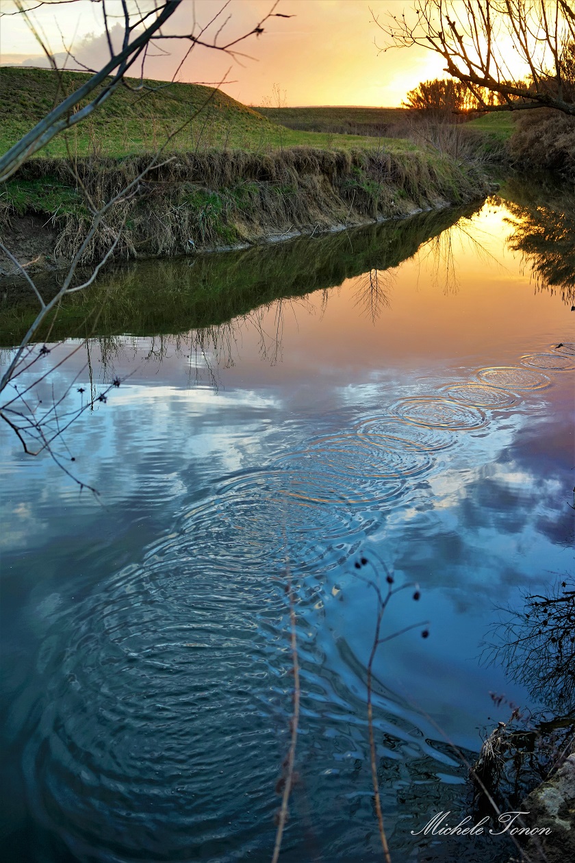 the river Monticano (details at sunset)