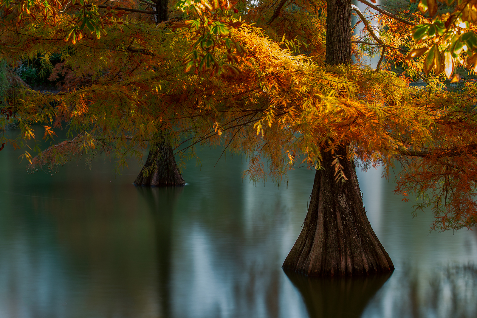 Spain-Palacio de Cristal del Retiro