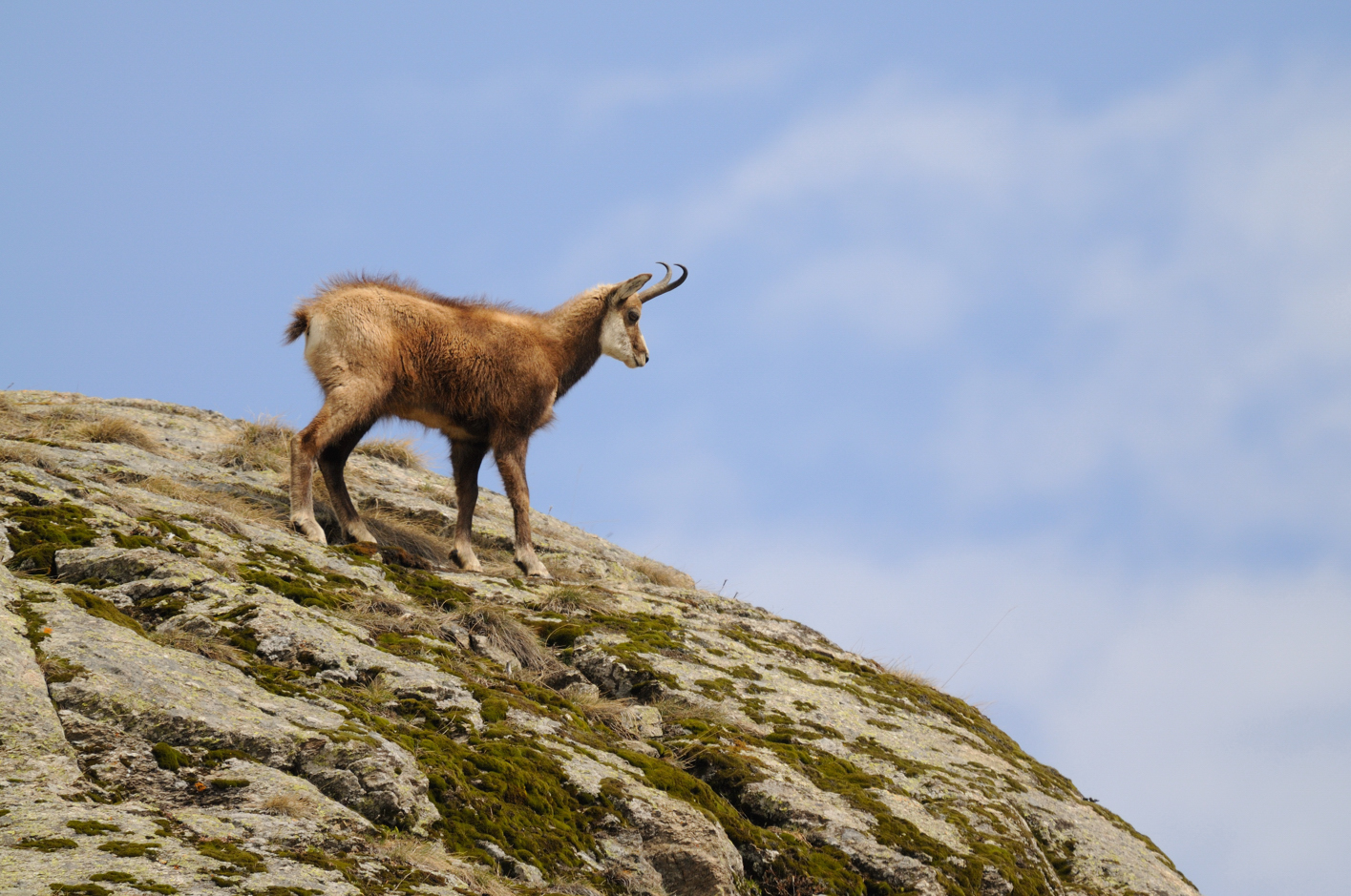 a stone's throw from the sky