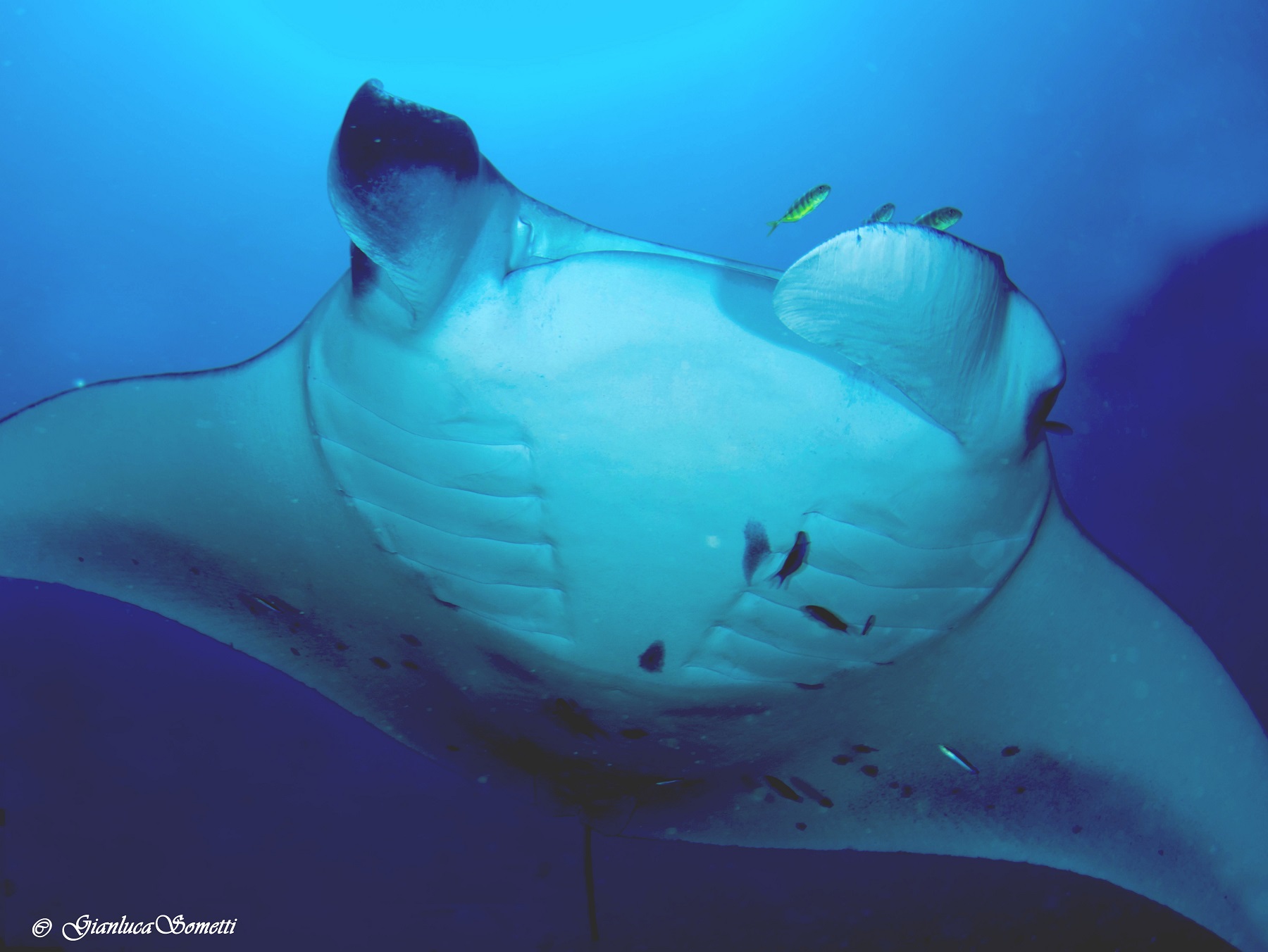 Maldives atoll-OF BAA