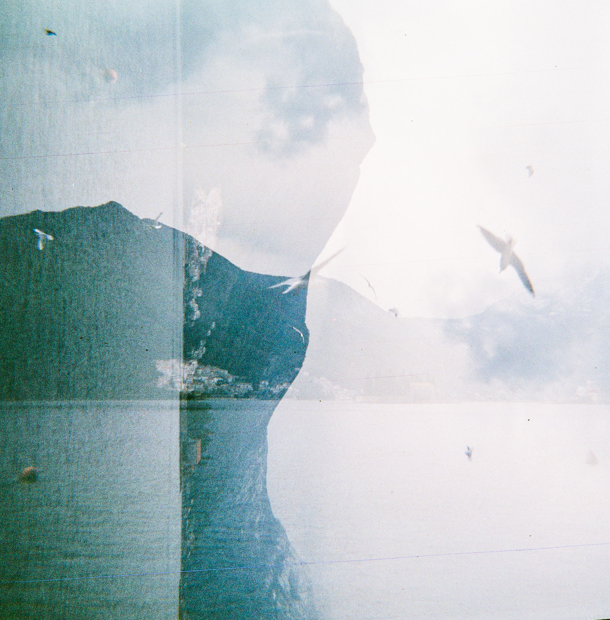 The sea, the seagulls, the mountains