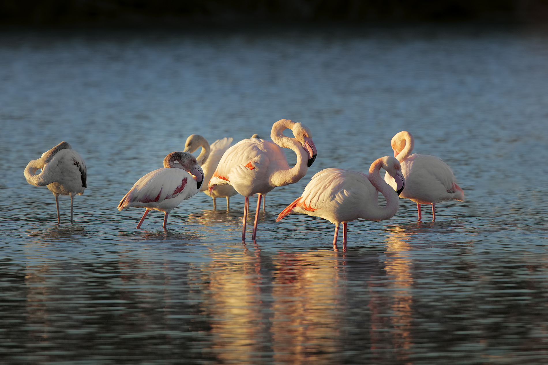 alba...luce laterale...