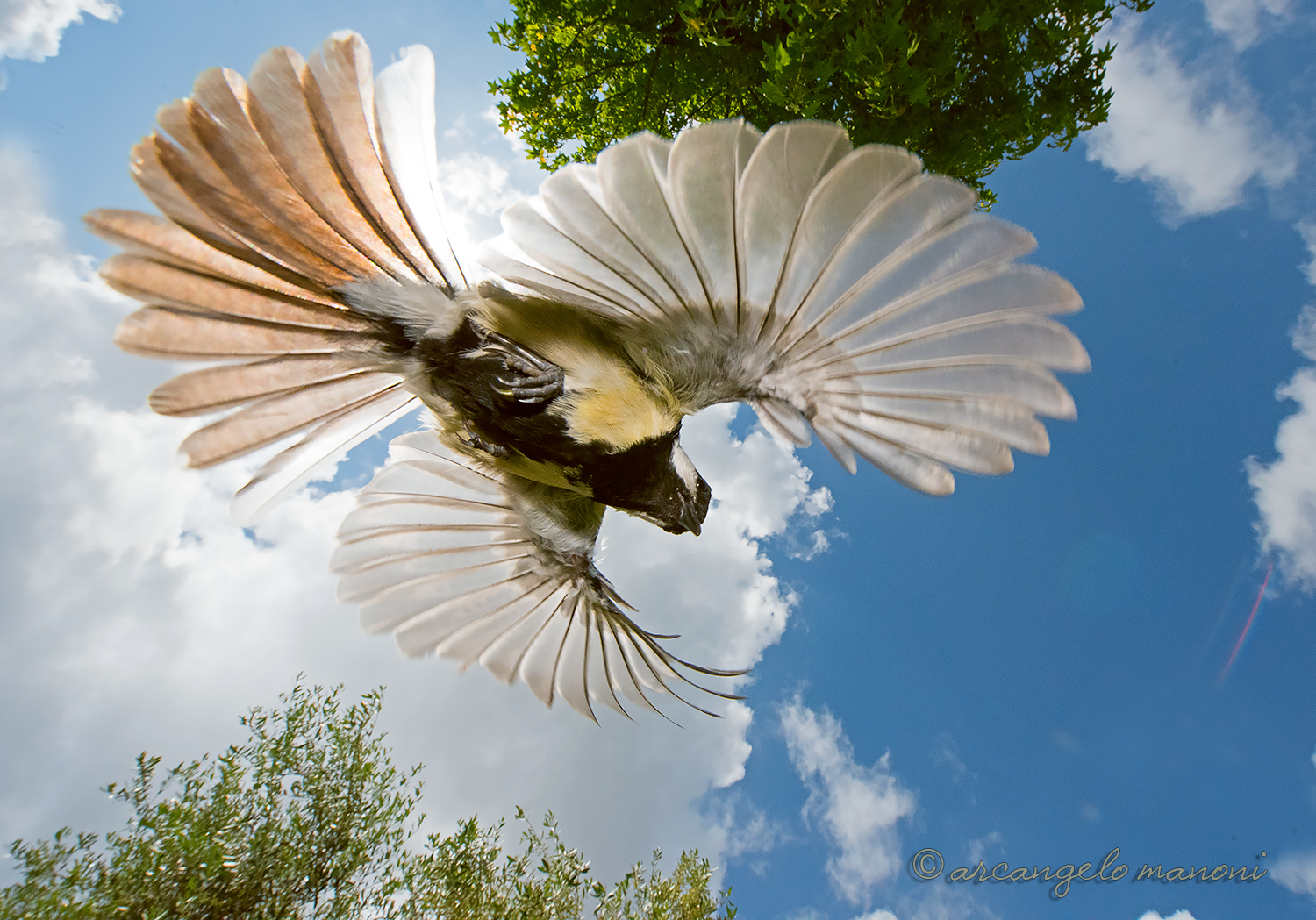 Un ventaglio per oscurare il sole