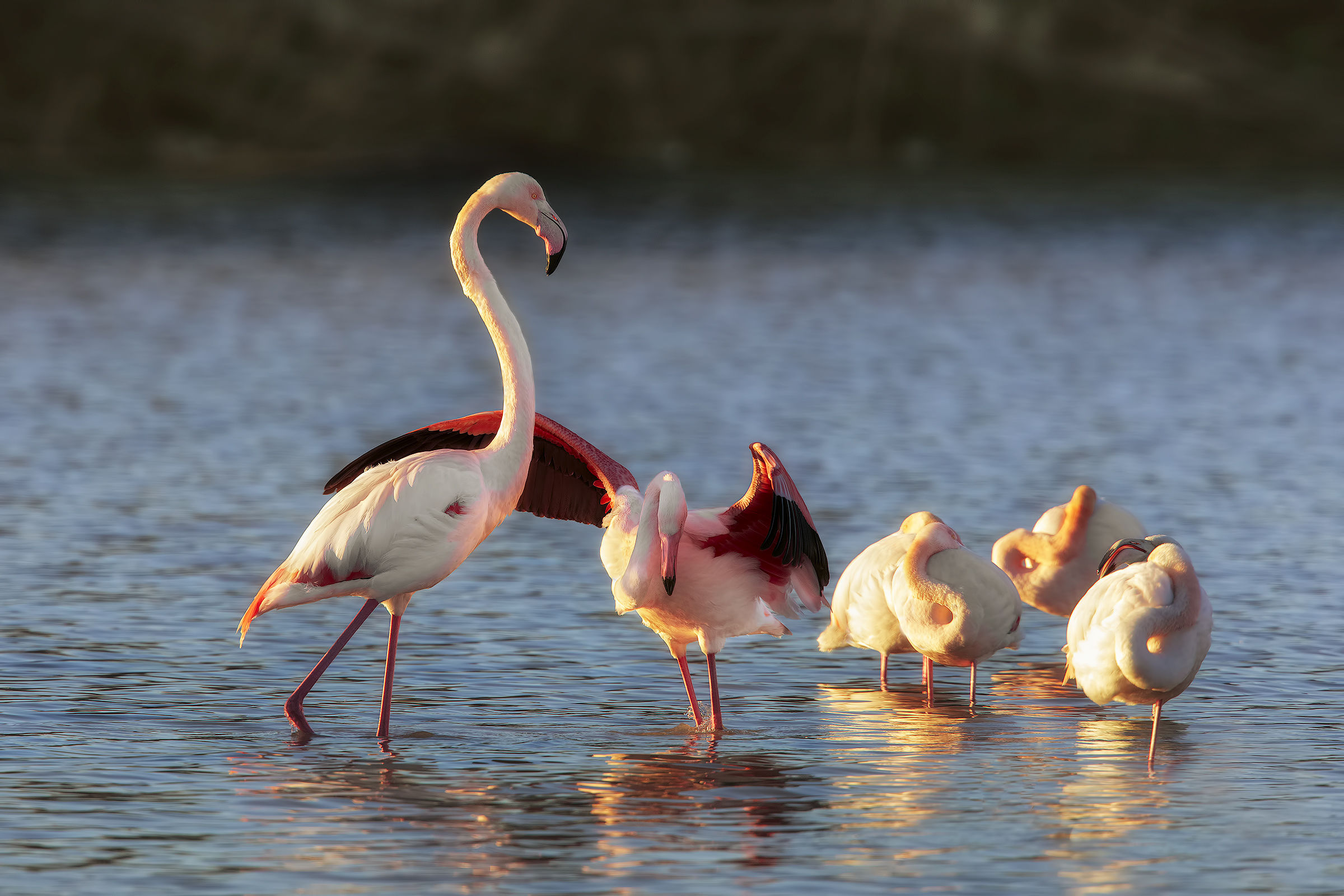 alba...luce laterale...