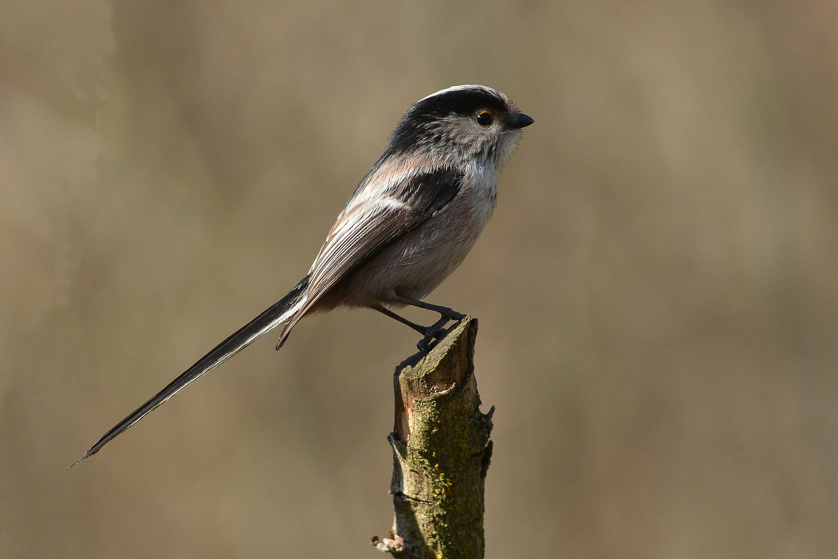 non sono bello , questo e il mio profilo migliore