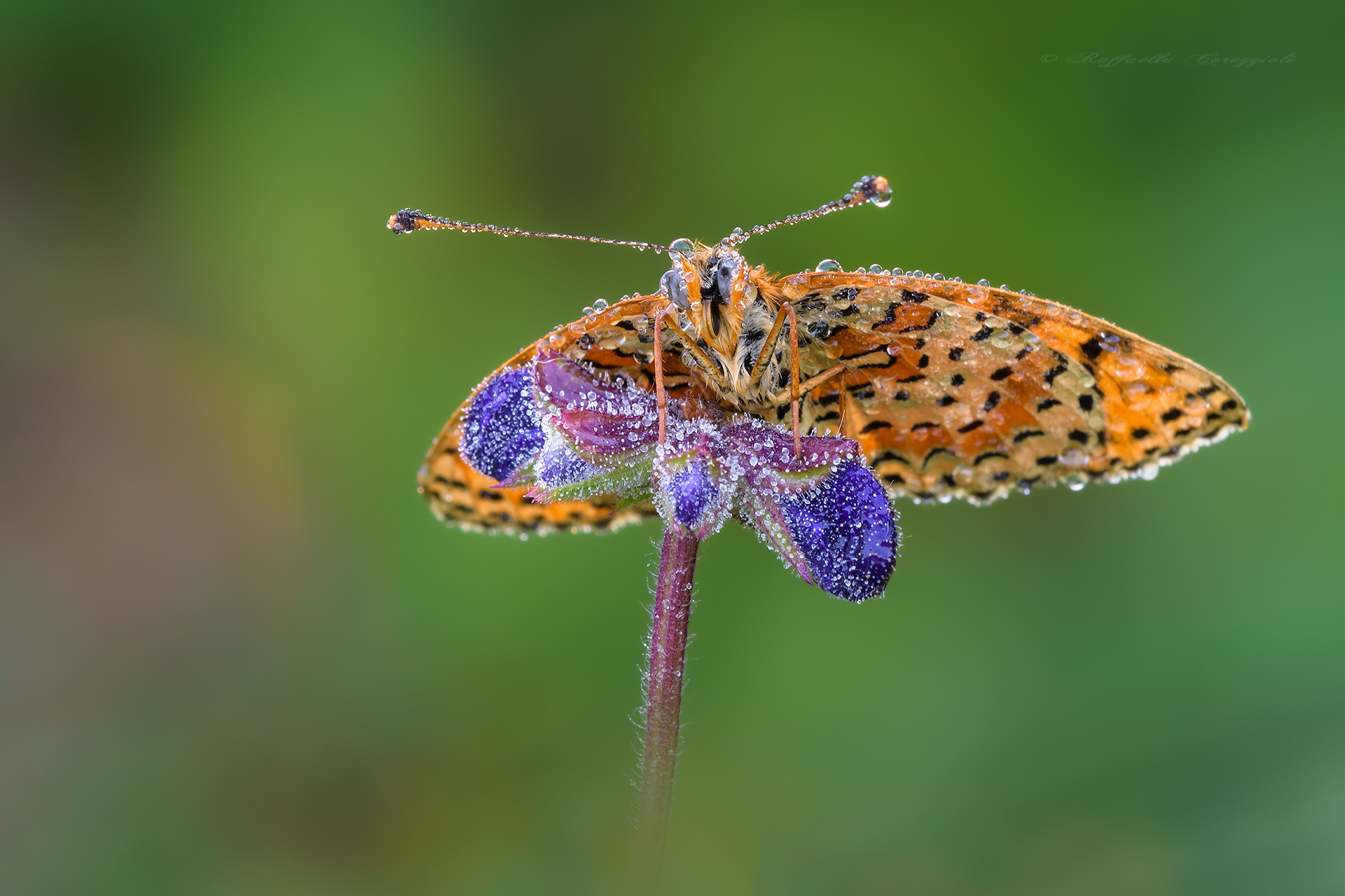 Warming up the engines