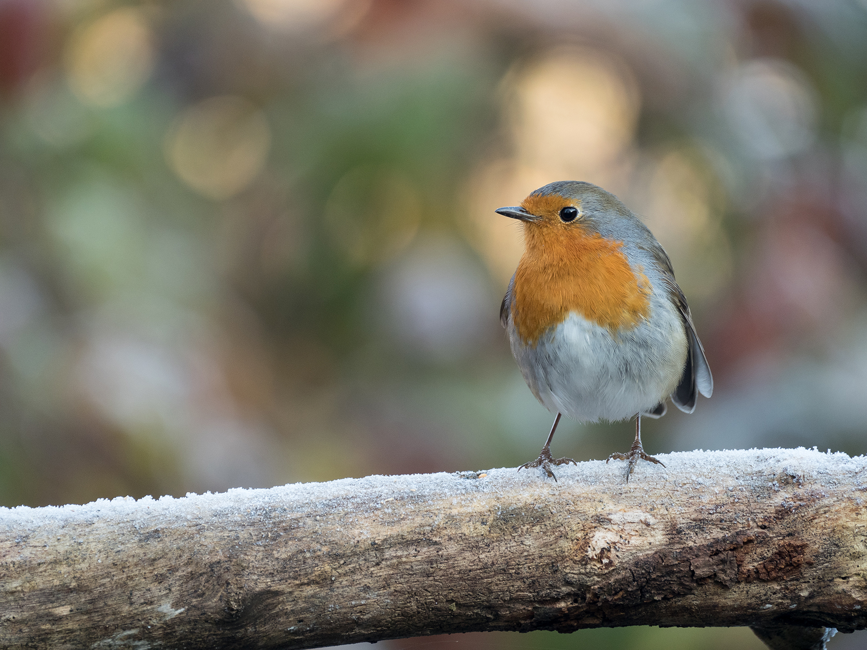 Brrrr ... frozen feet.