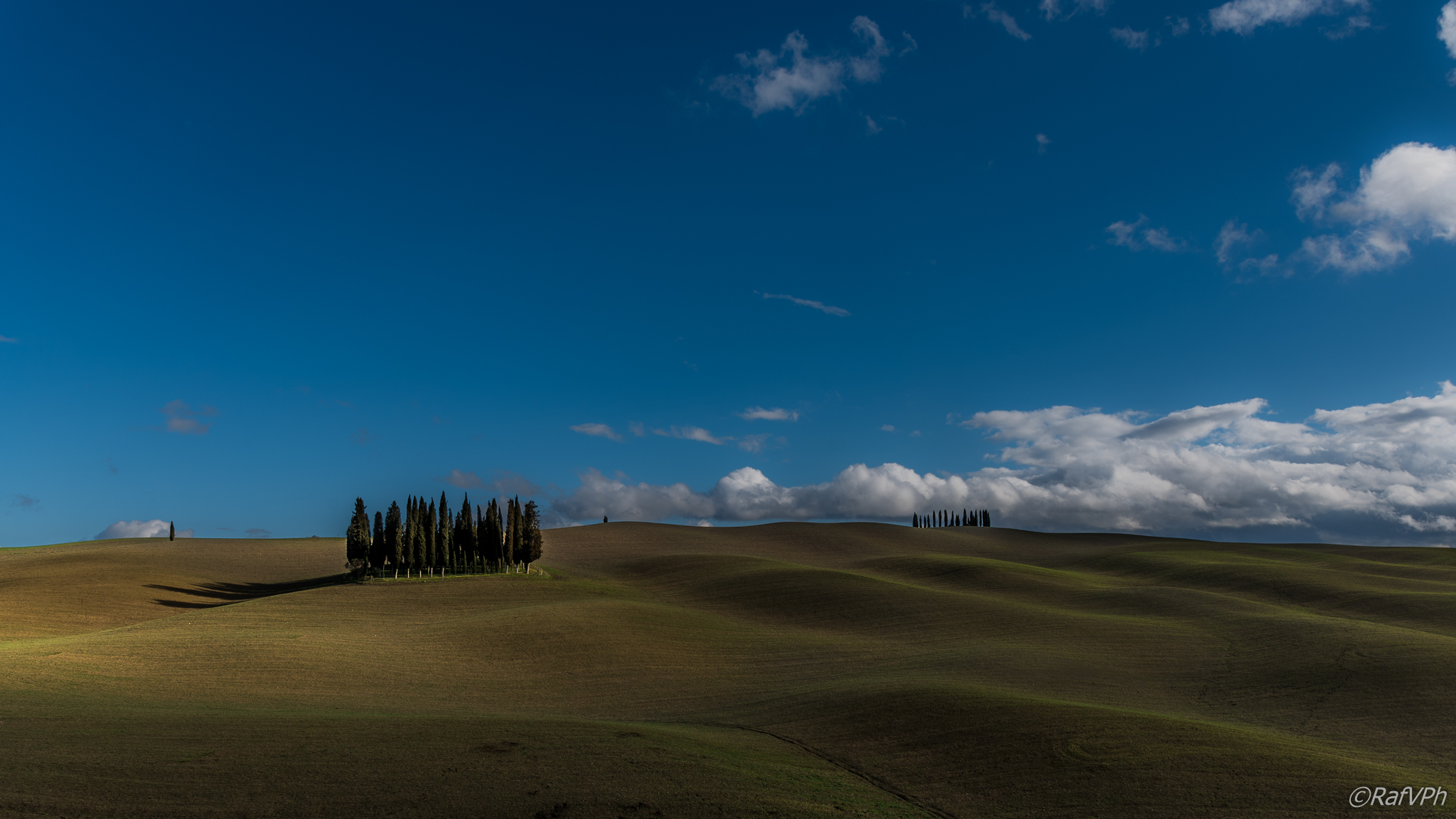 I cipressi di S.Quirico