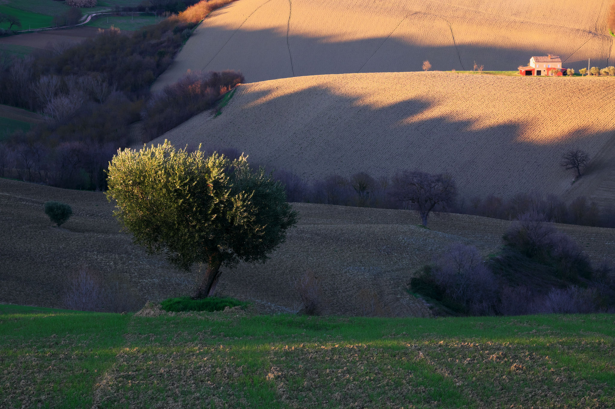 gli ultimi spettatori