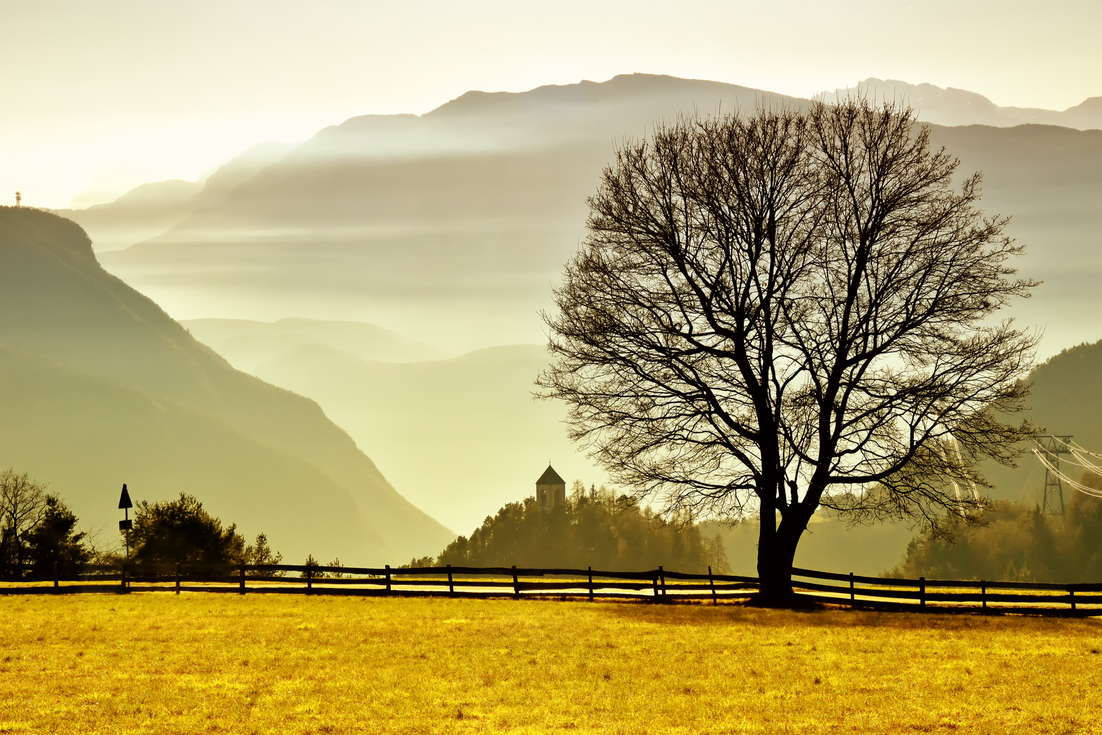 Solitary tree - Soprabolzano Renon
