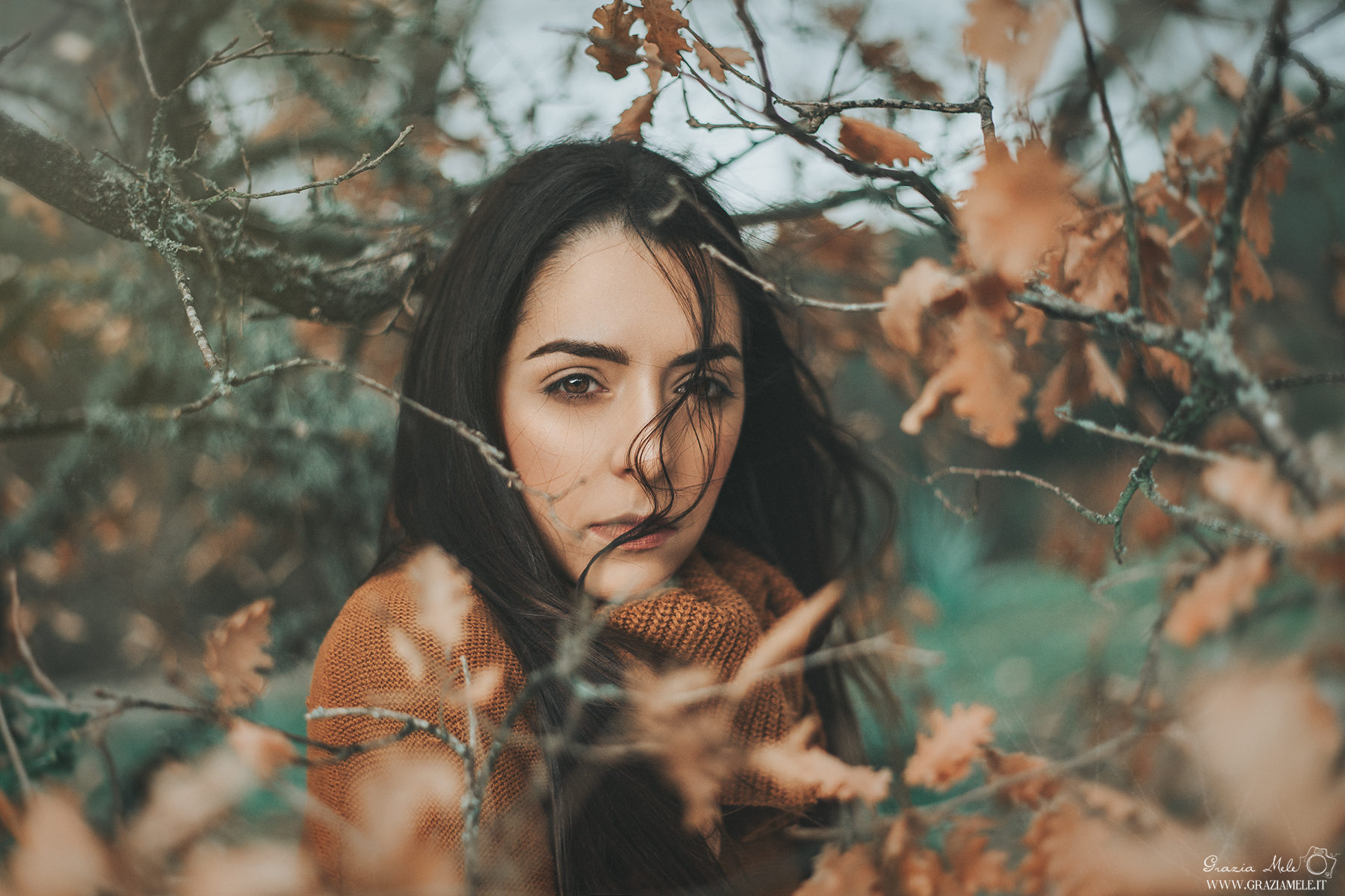 Inspired by the autumn