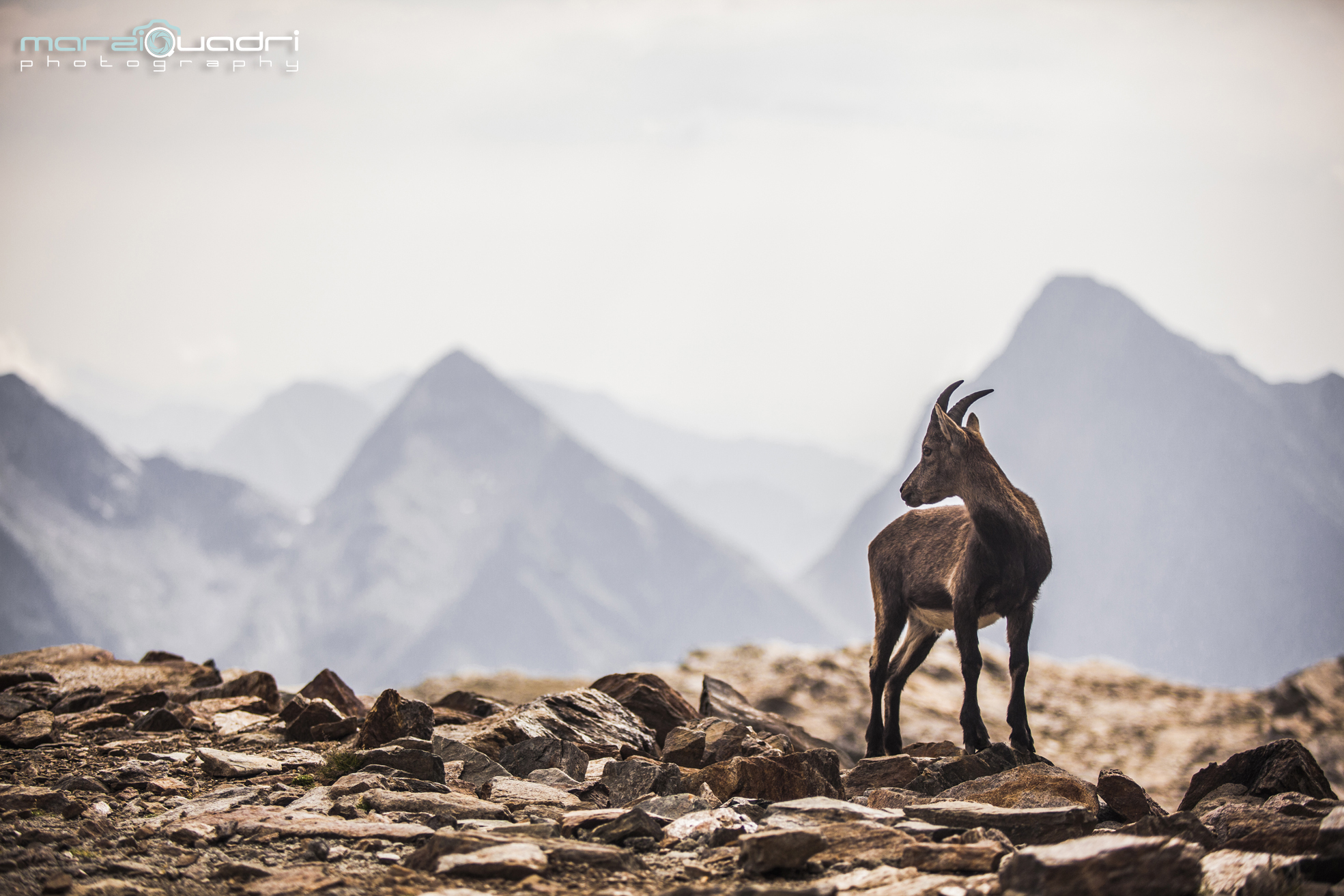 The call of the mountain