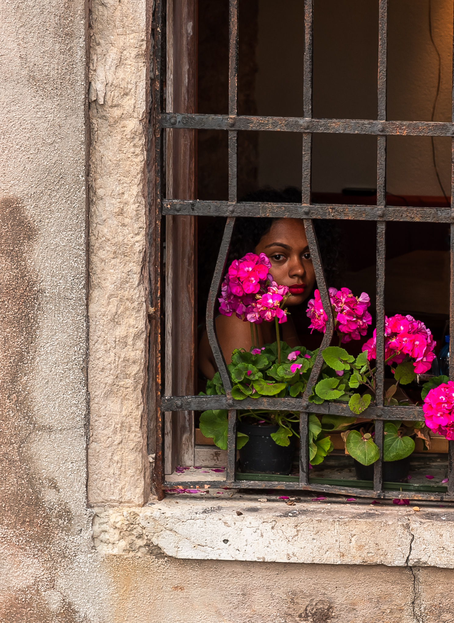 Non si possono imprigionare i fiori....