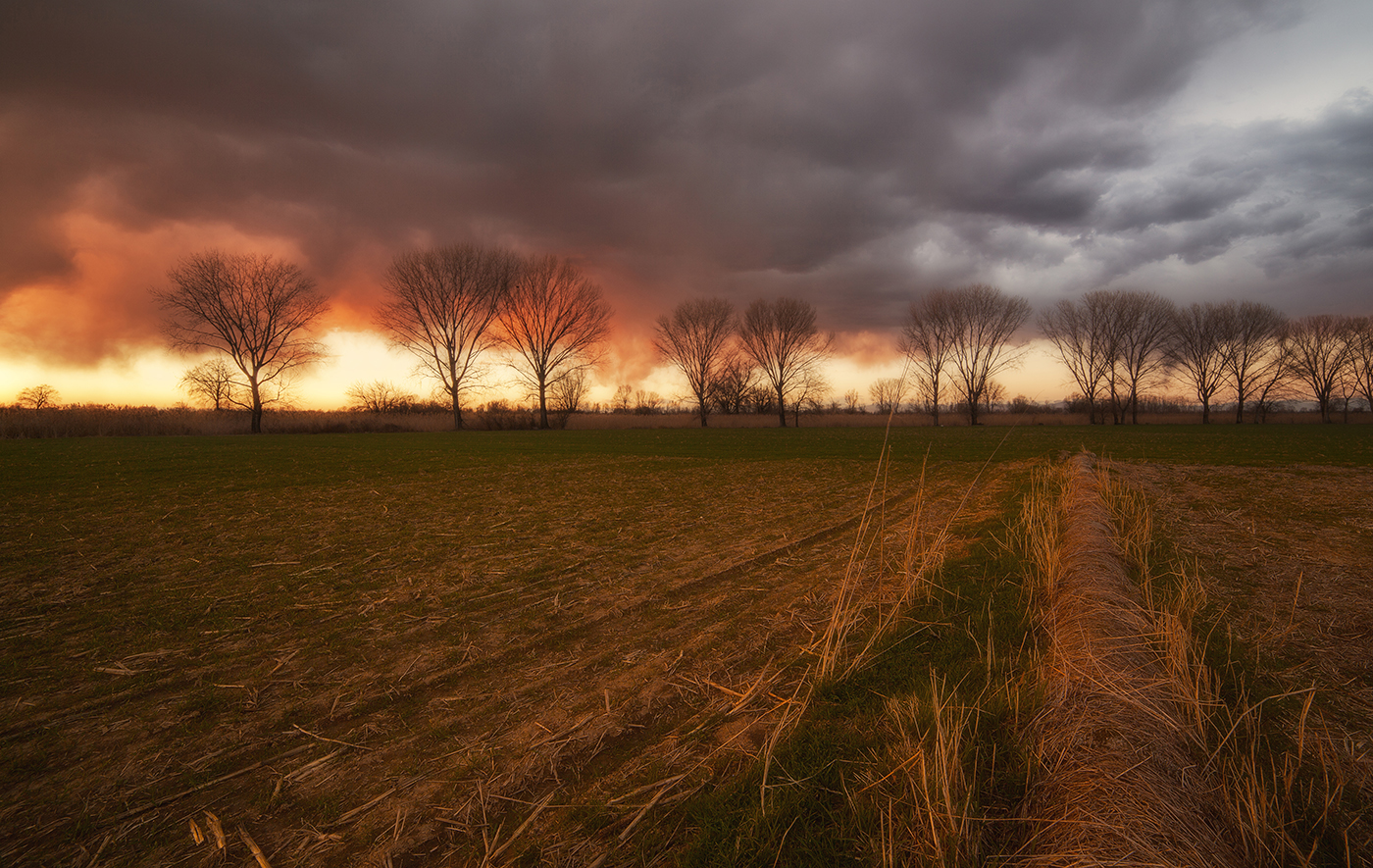 A sunset that promises rain