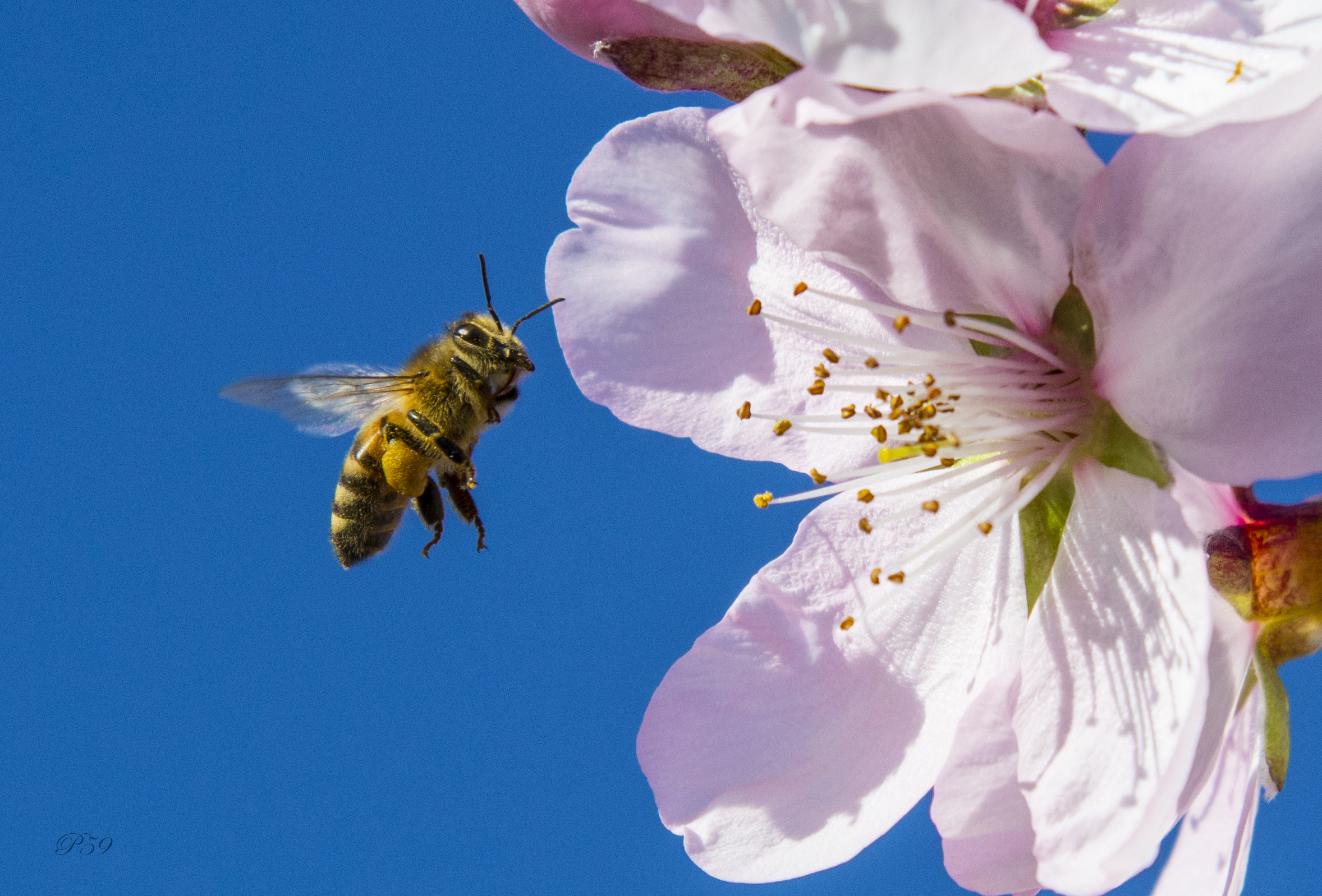 ..... And let me work