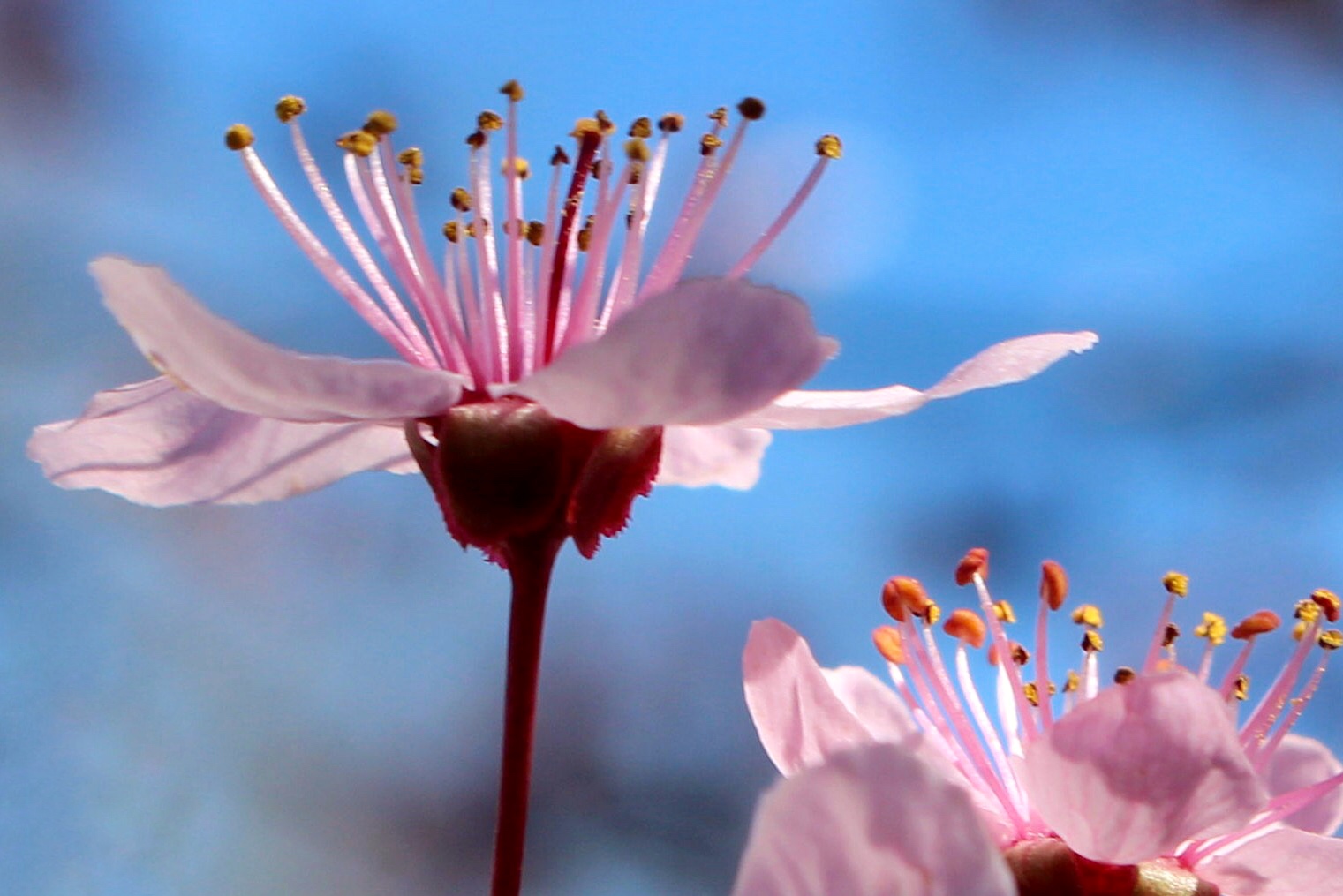 Spring is here again