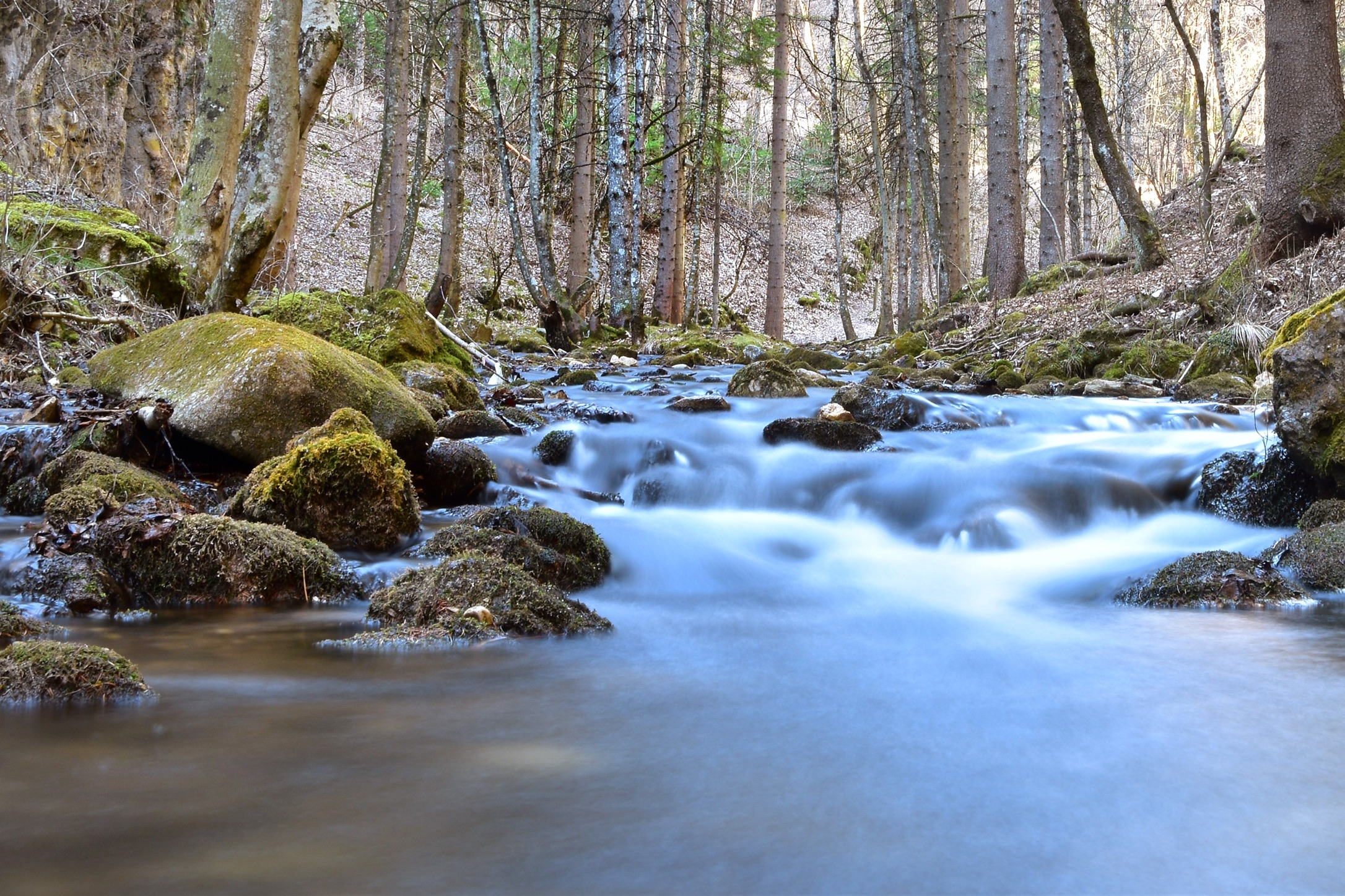 Canyon Rio Sass Mendola (bz)