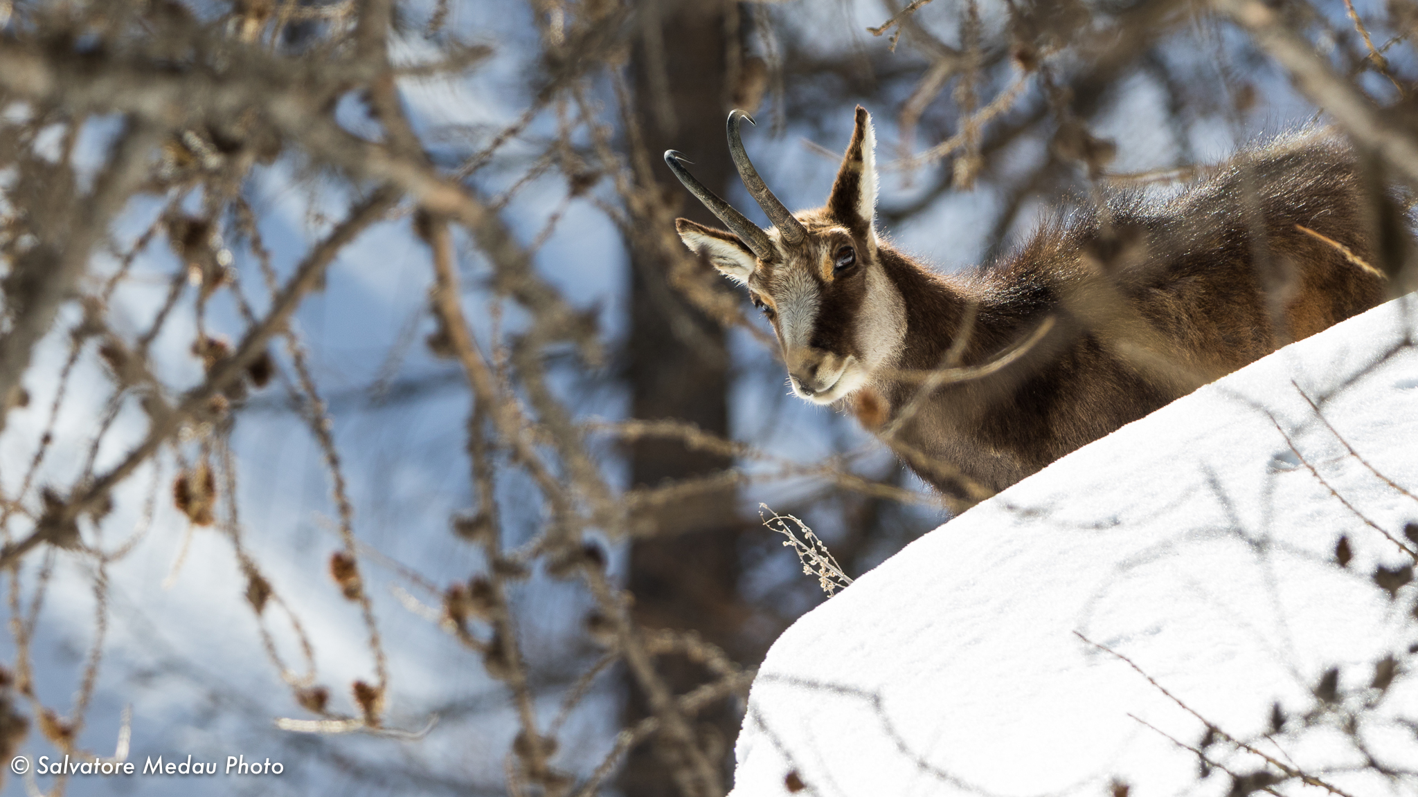 The treasures of the Gran Paradiso National Park